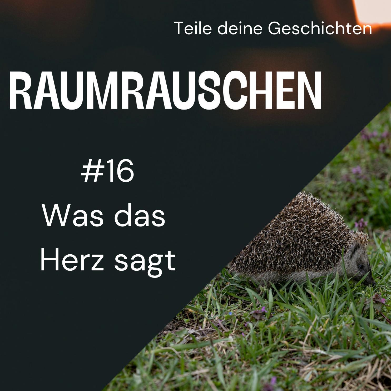 Raumrauschen