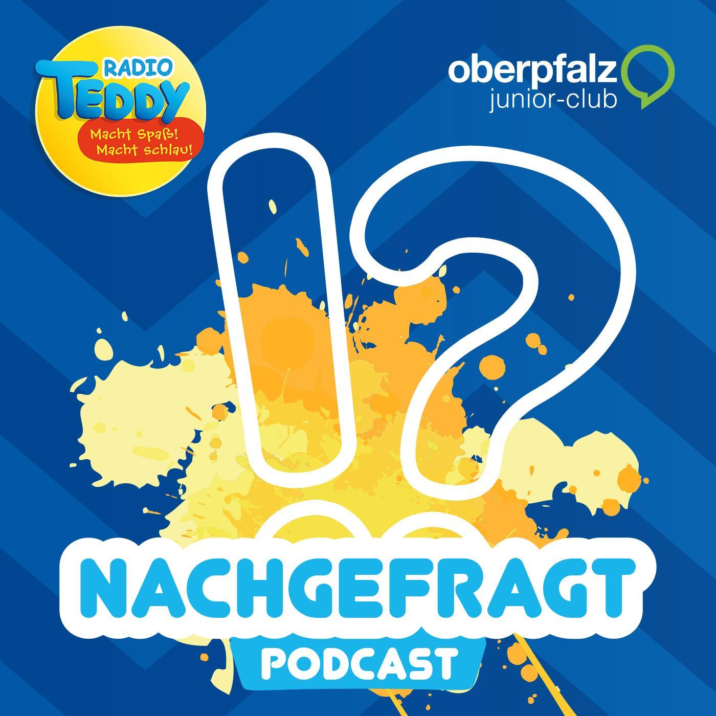 Kinder-Podcast "Radio TEDDY-Nachgefragt"