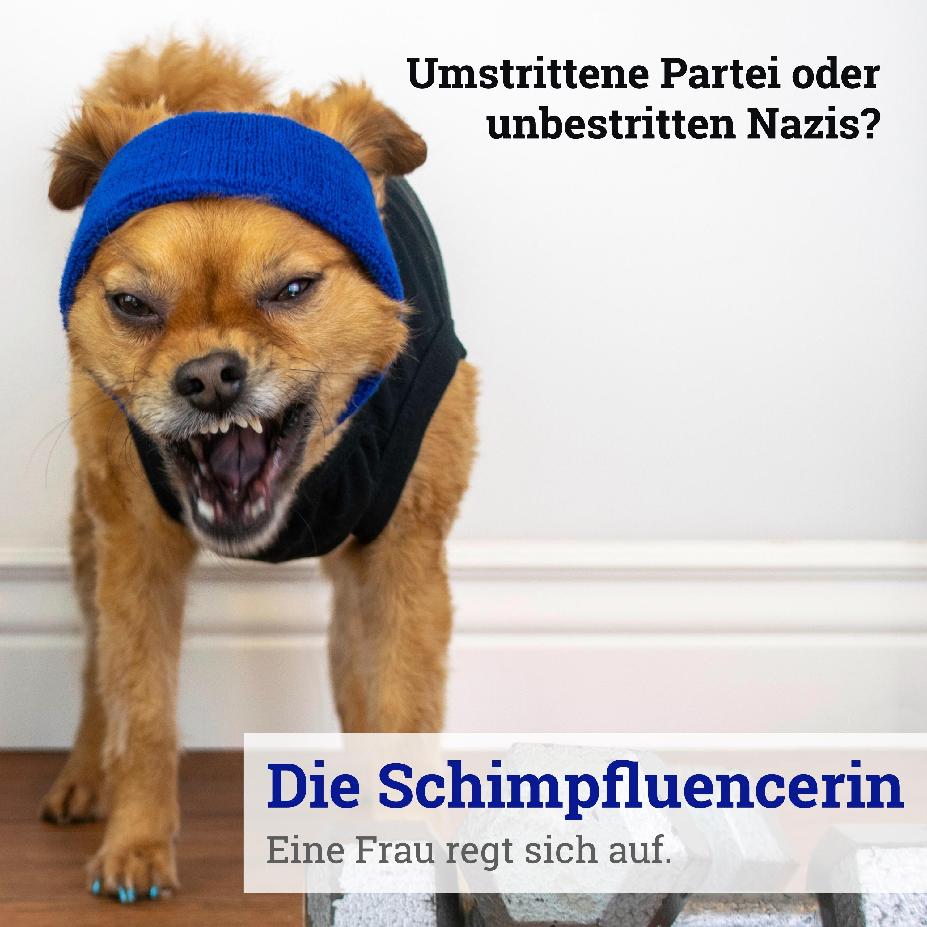 Die Schimpfluencerin
