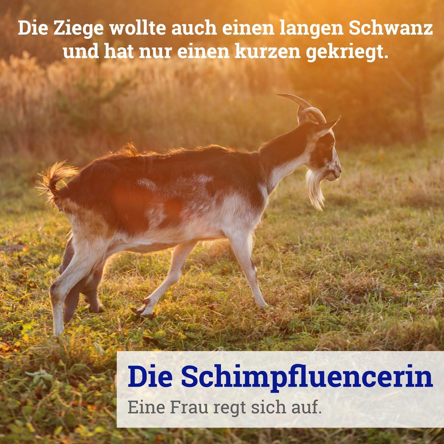 Die Schimpfluencerin