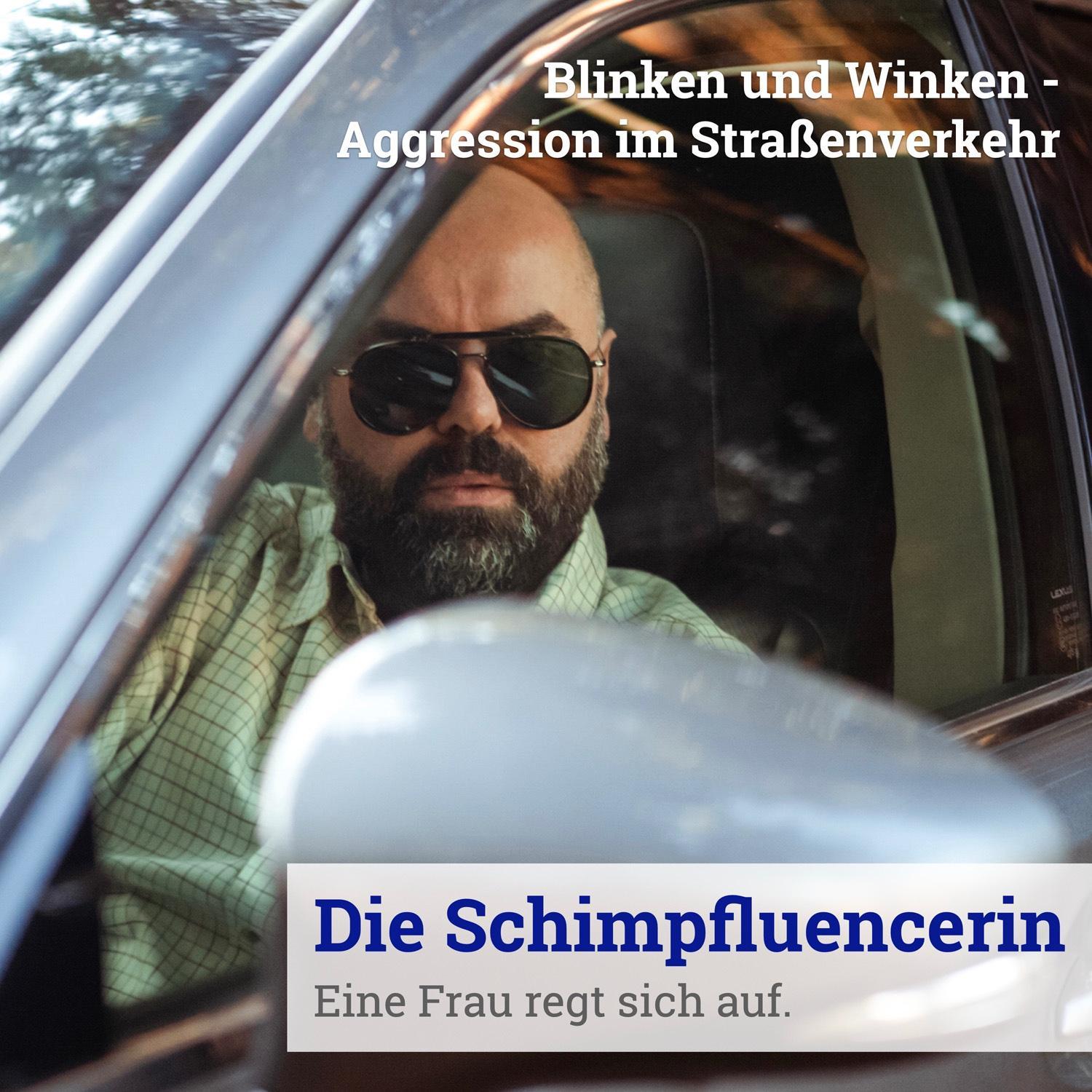 Die Schimpfluencerin