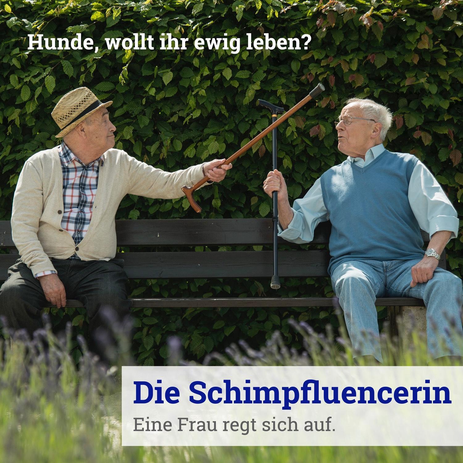 Die Schimpfluencerin