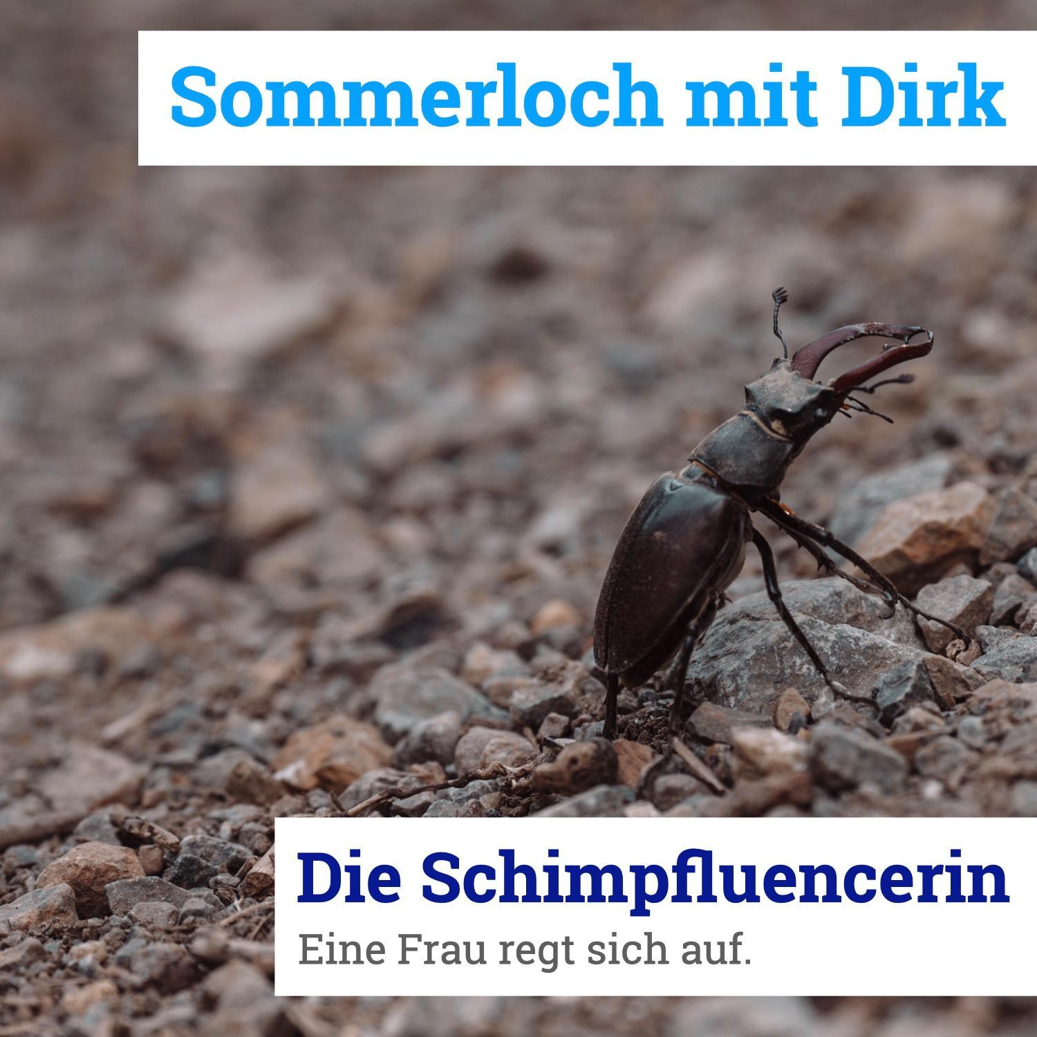 Artwork for Die Schimpfluencerin