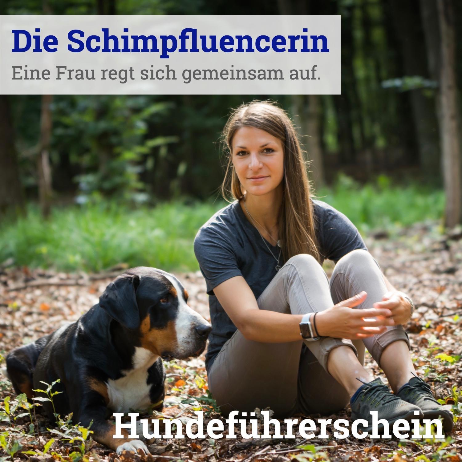 Artwork for Die Schimpfluencerin