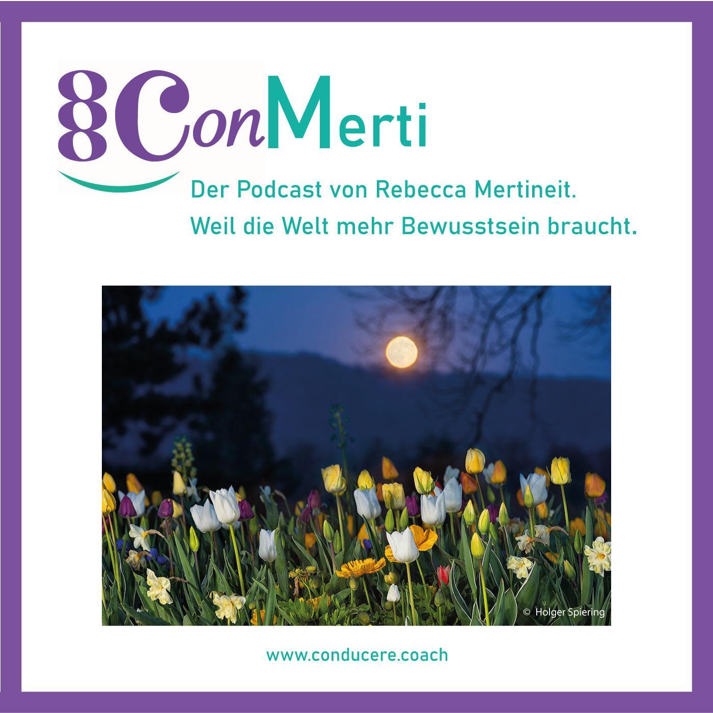 ConMerti | Weil die Welt mehr Bewusstsein braucht.