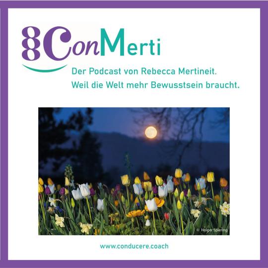 podcast-cover-image