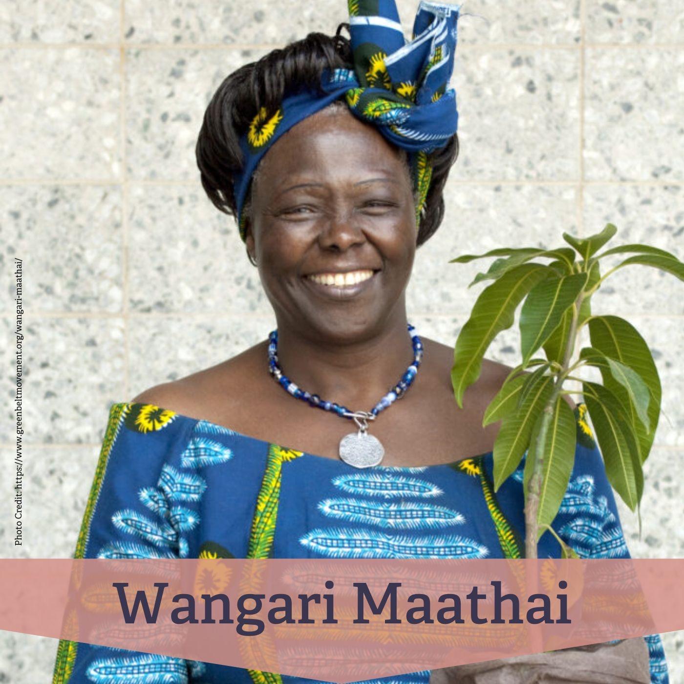 #152 Wangari Maathai – Umwelt, Demokratie und der Preis des Widerstands episode artwork