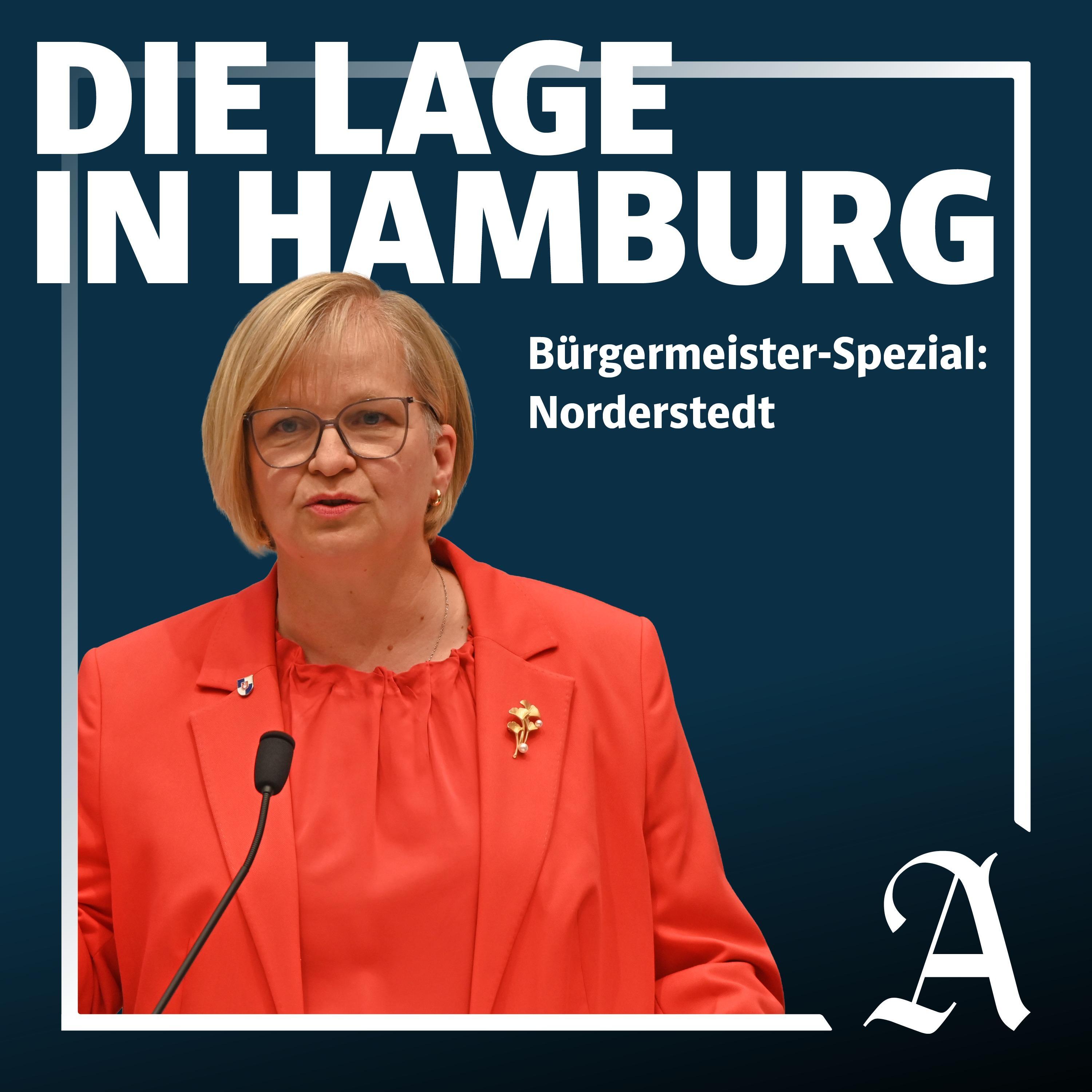 Bürgermeister- Spezial: Teil 8: Katrin Schmieder aus Norderstedt episode artwork