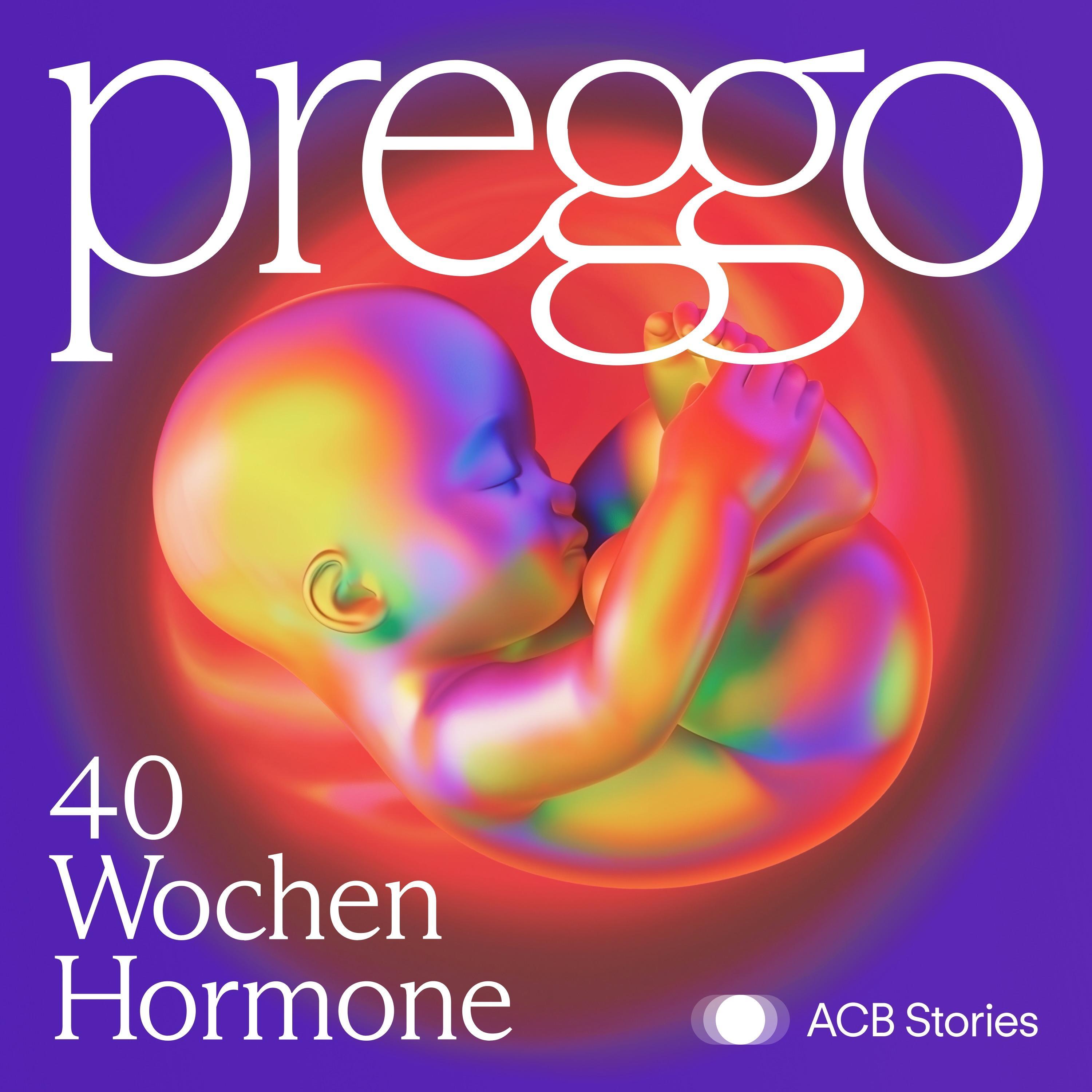 Preggo: 40 Wochen Hormone