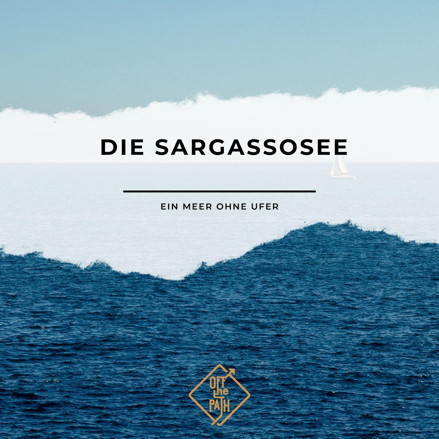 Die Sargassosee - Ein Meer ohne Ufer