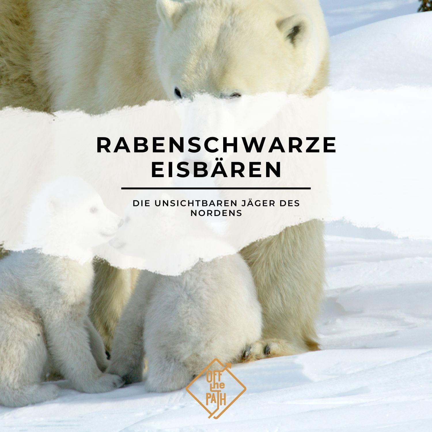 Rabenschwarze Eisbären - Die unsichtbaren Jäger des Nordens