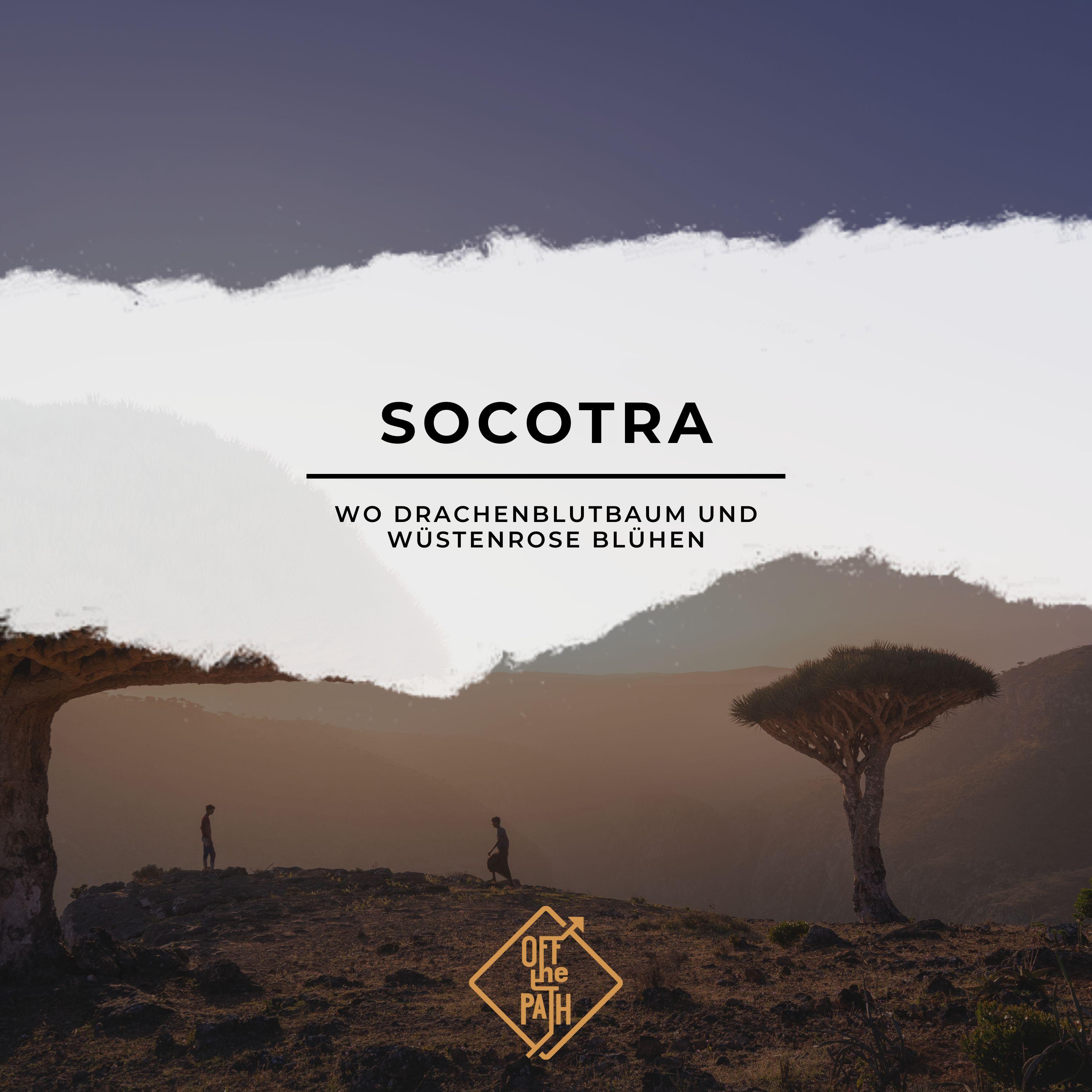 Die verlorene Welt von Socotra