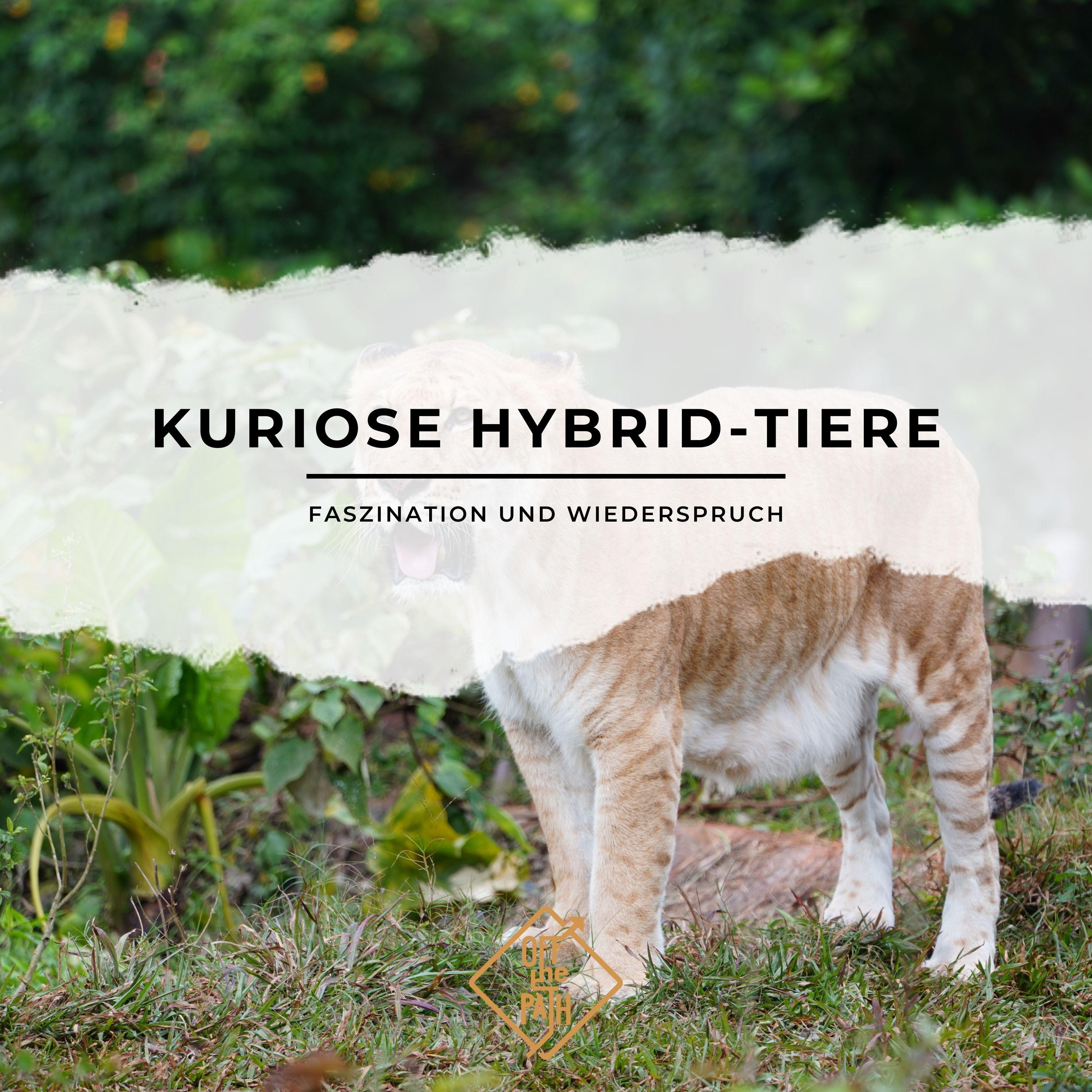 Faszination und Wiederspruch: Kuriose Hybrid-Tiere