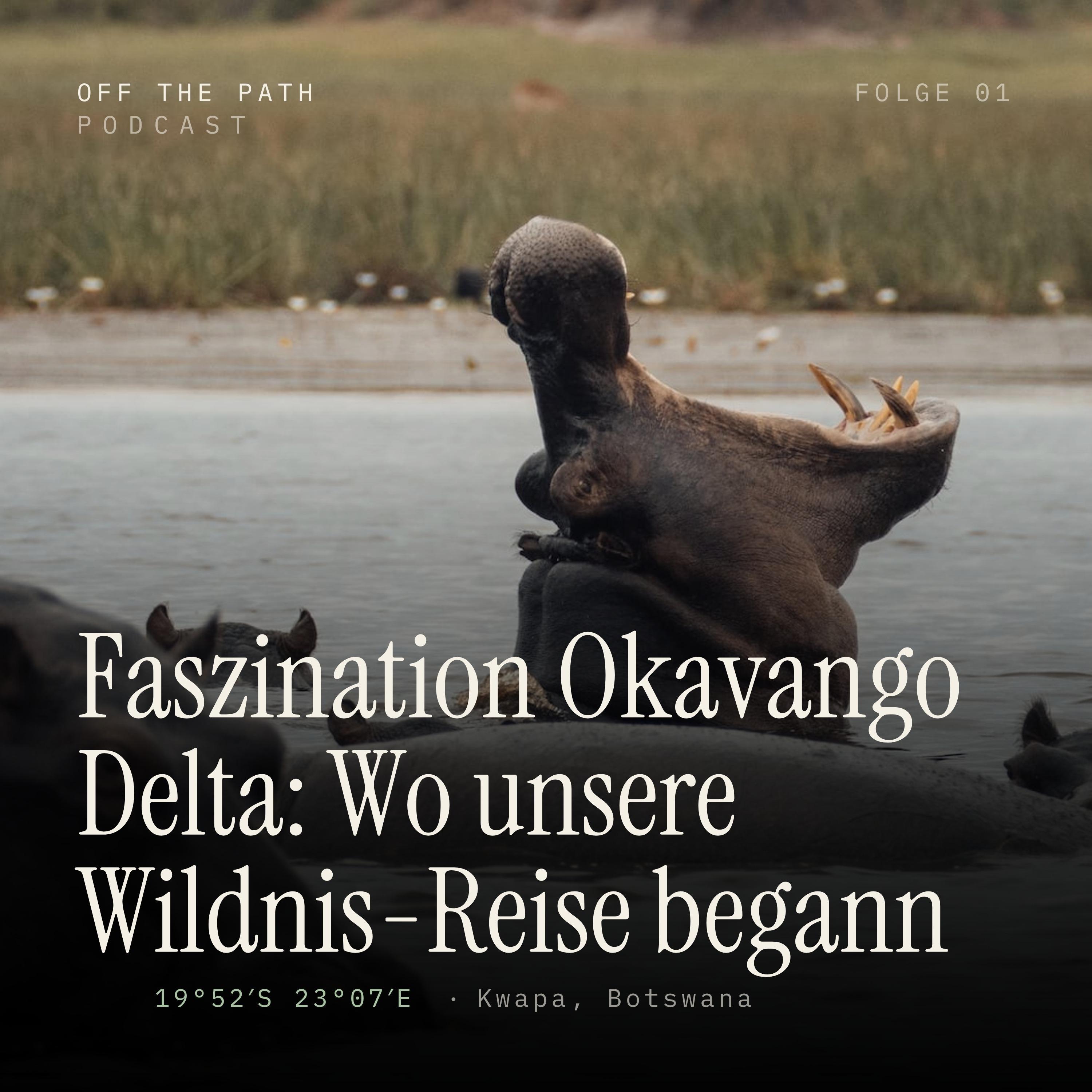 Faszination Okavango Delta: Wo unsere Wildnis-Reise begann