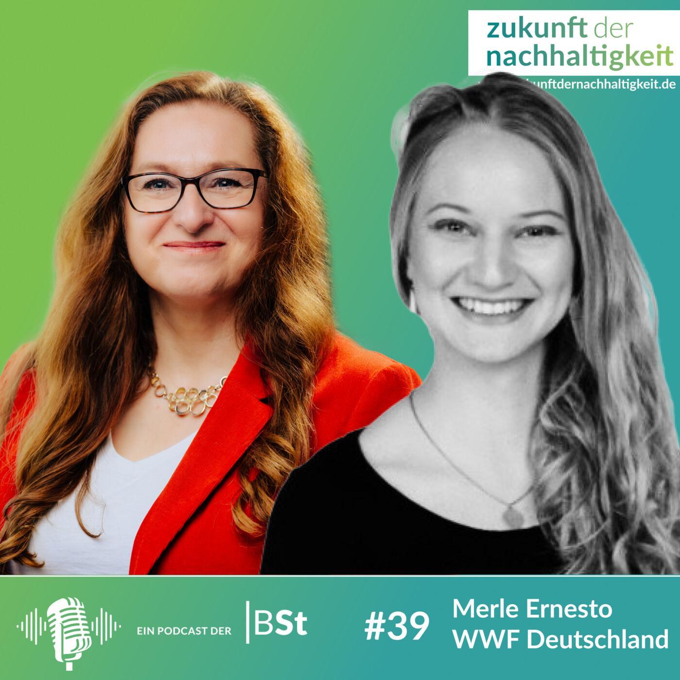 #39 - Selbstcheck: Wie zirkulär ist Ihr Unternehmen? #39 - Selbstcheck: Wie zirkulär ist Ihr Unternehmen?