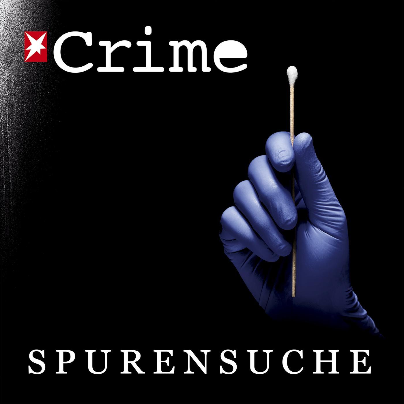 stern Crime - Spurensuche