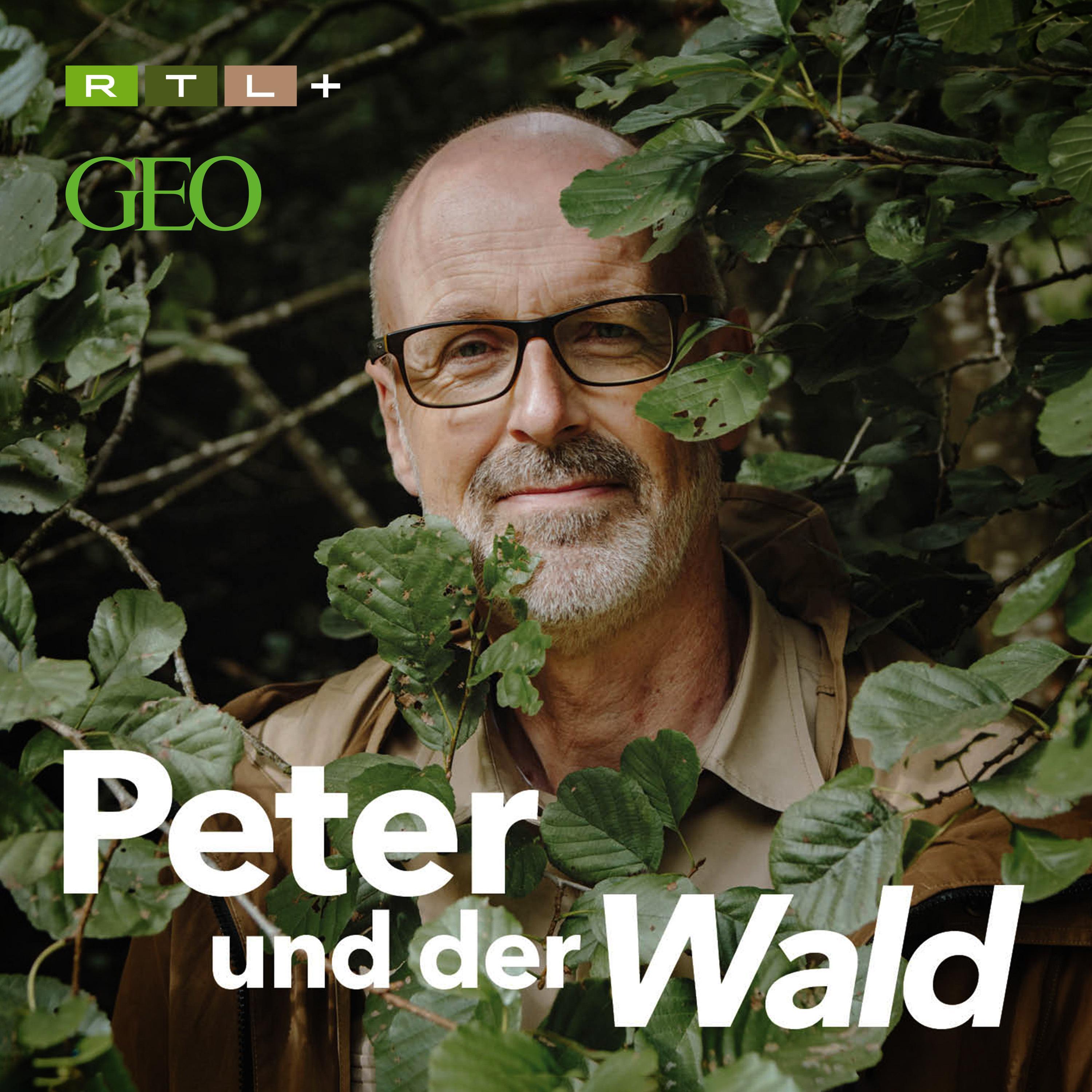 Waldspaziergang: Outdoorkleidung
