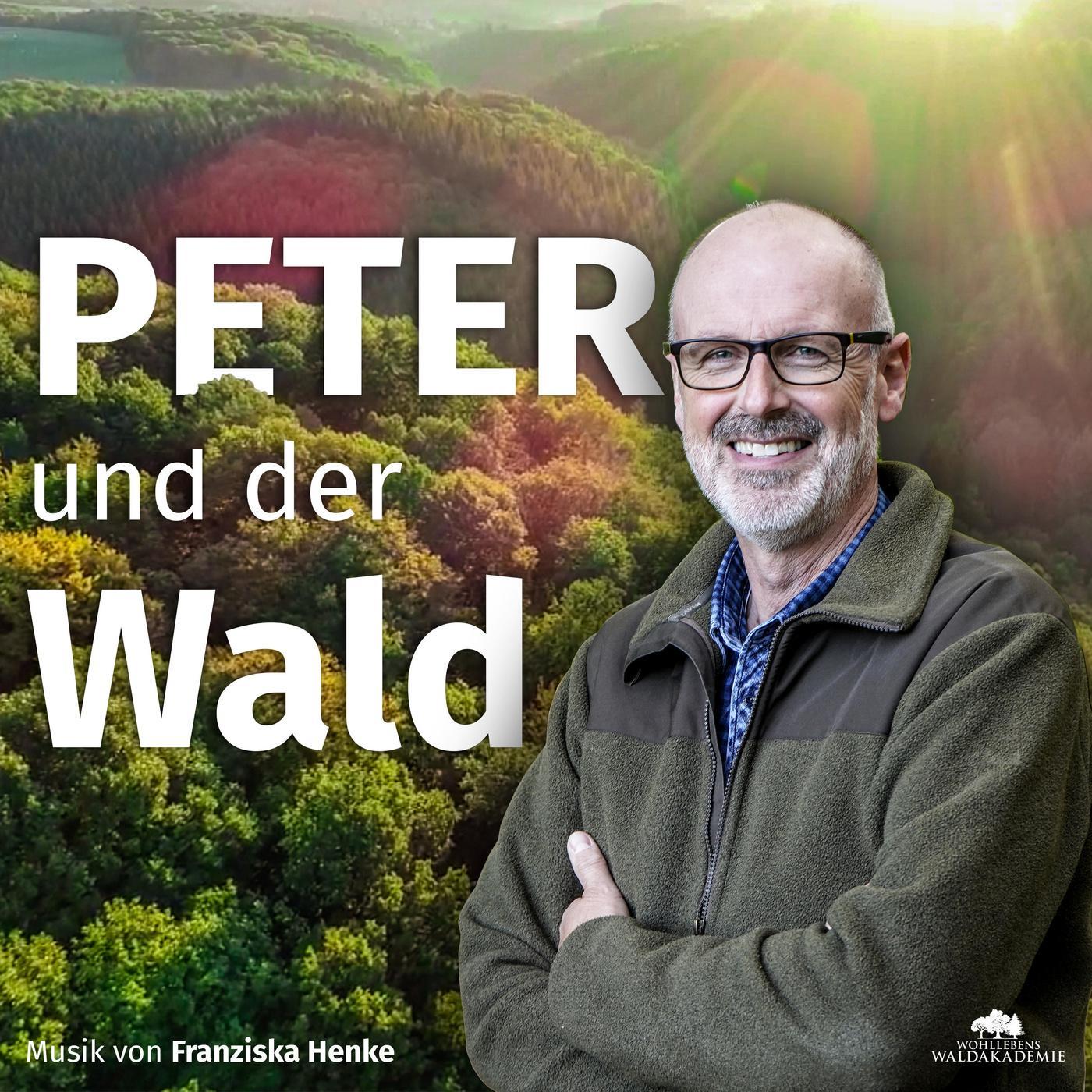 Peter und der Wald – ein GEO-Podcast