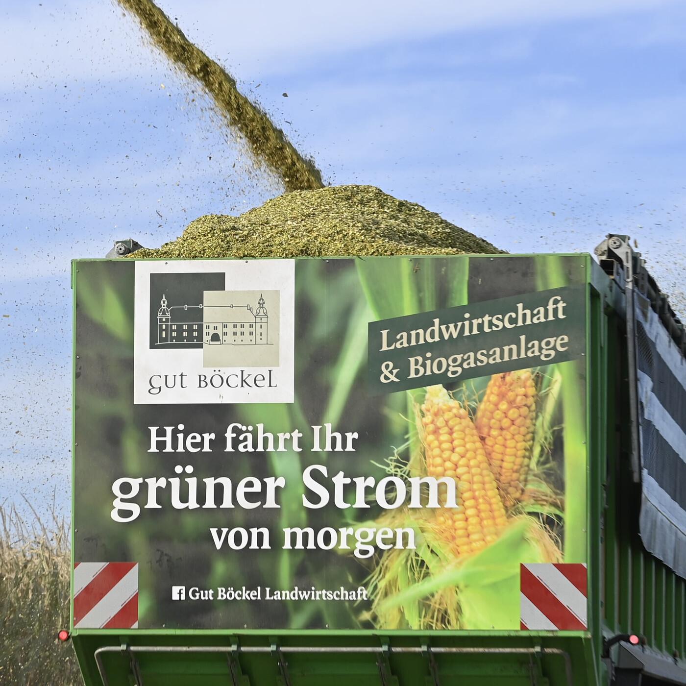 "Biogas leistet dasselbe wie Gaskraftwerke - 50 Milliarden Euro günstiger" - Sandra Rostek (HBB)