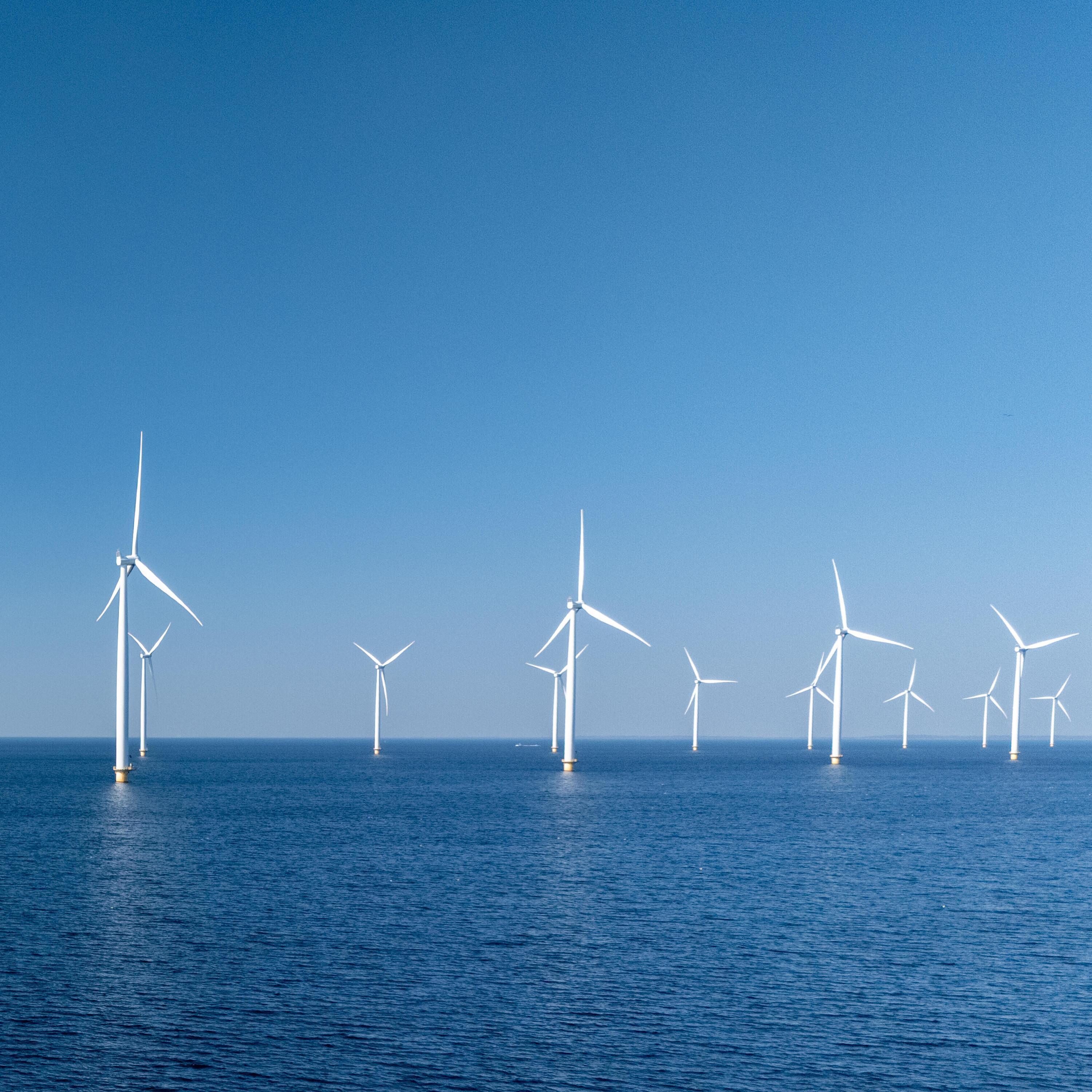 "Der Bau von Offshore-Windparks rechnet sich nicht mehr" - Karina Würtz (Stiftung Offshore)