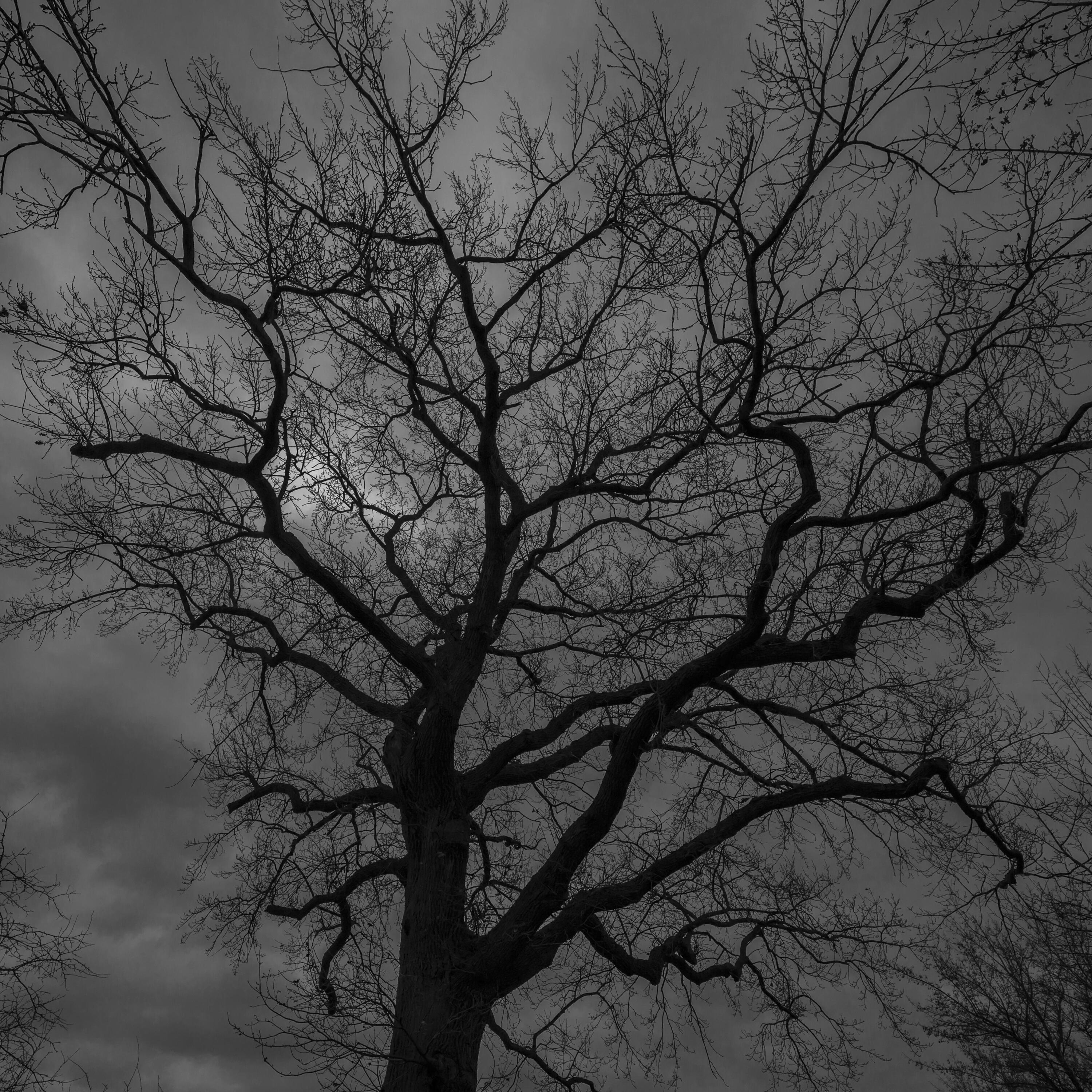 Das Klima-Labor von ntv