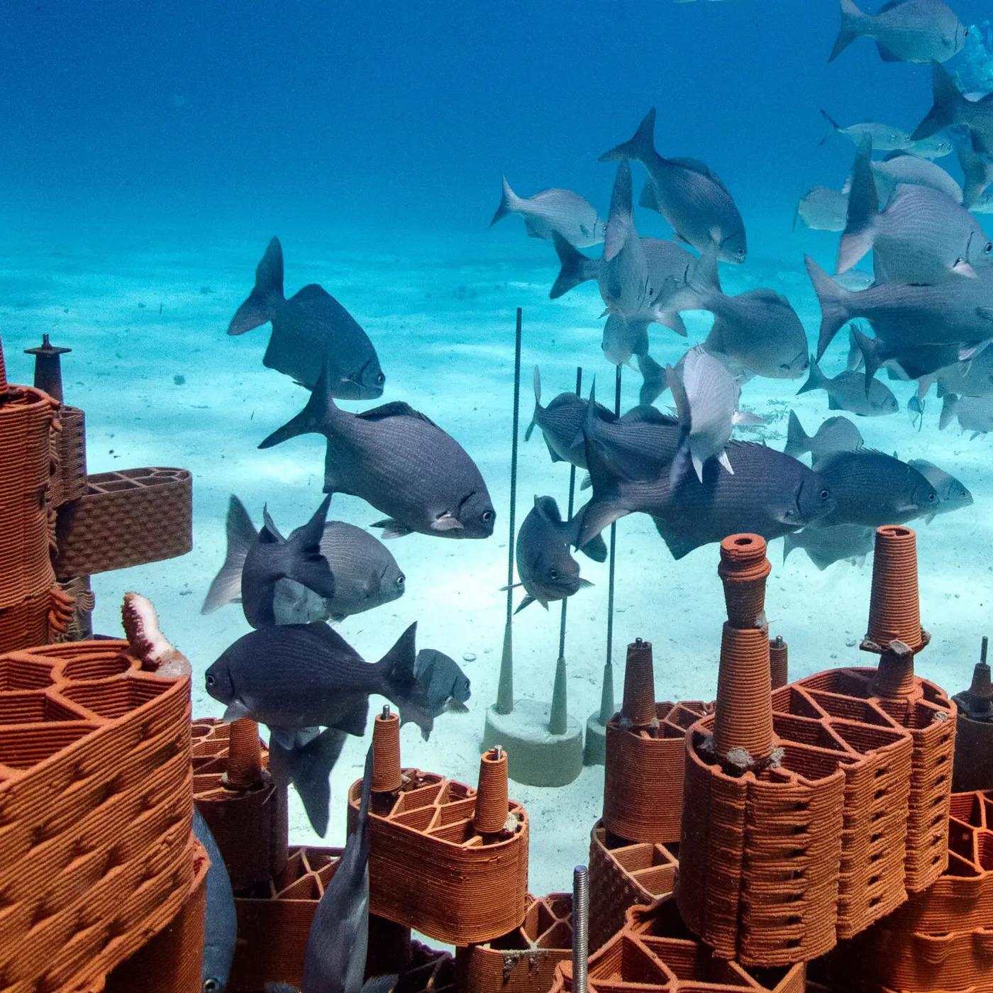 Das Klima-Labor von ntv