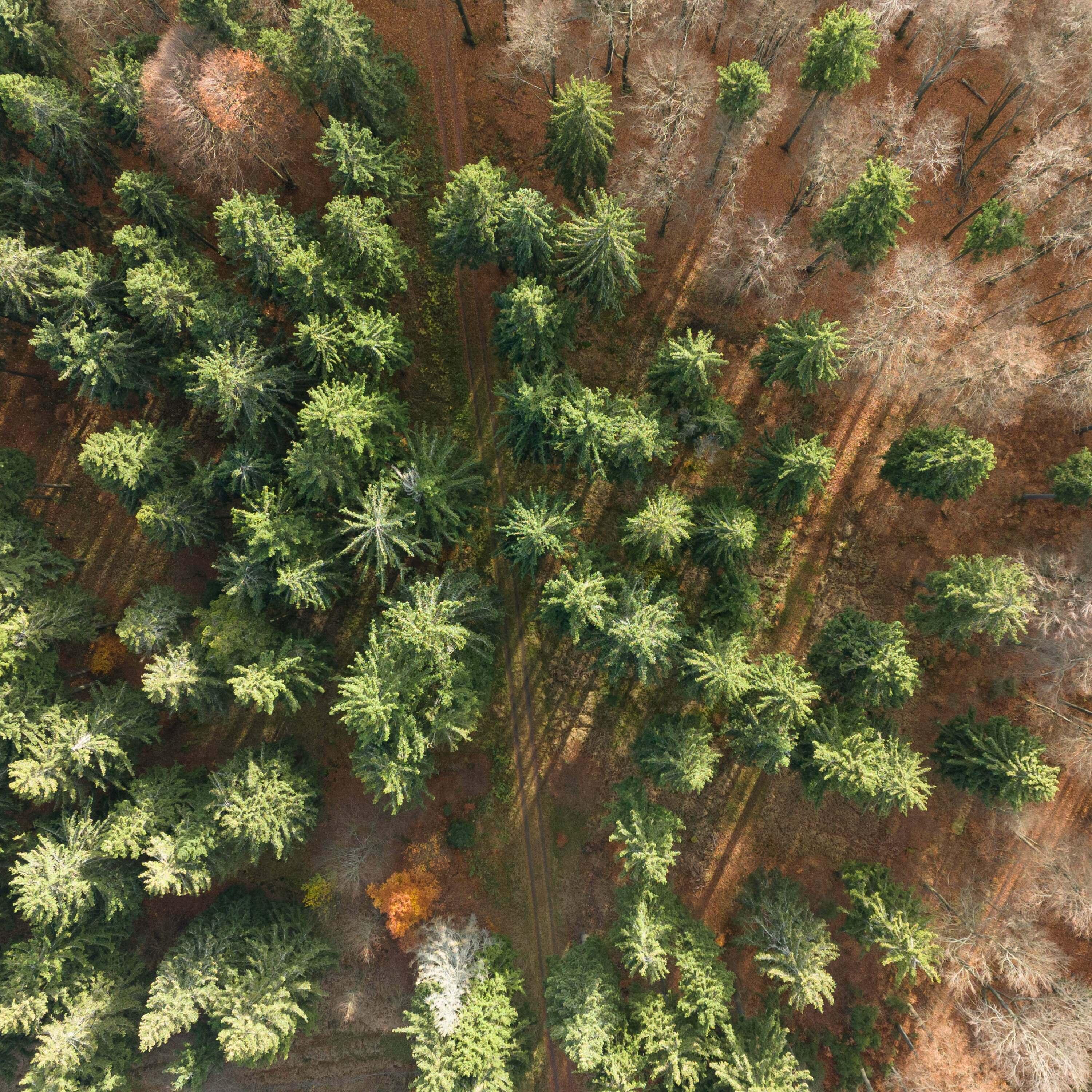 Das Klima-Labor von ntv