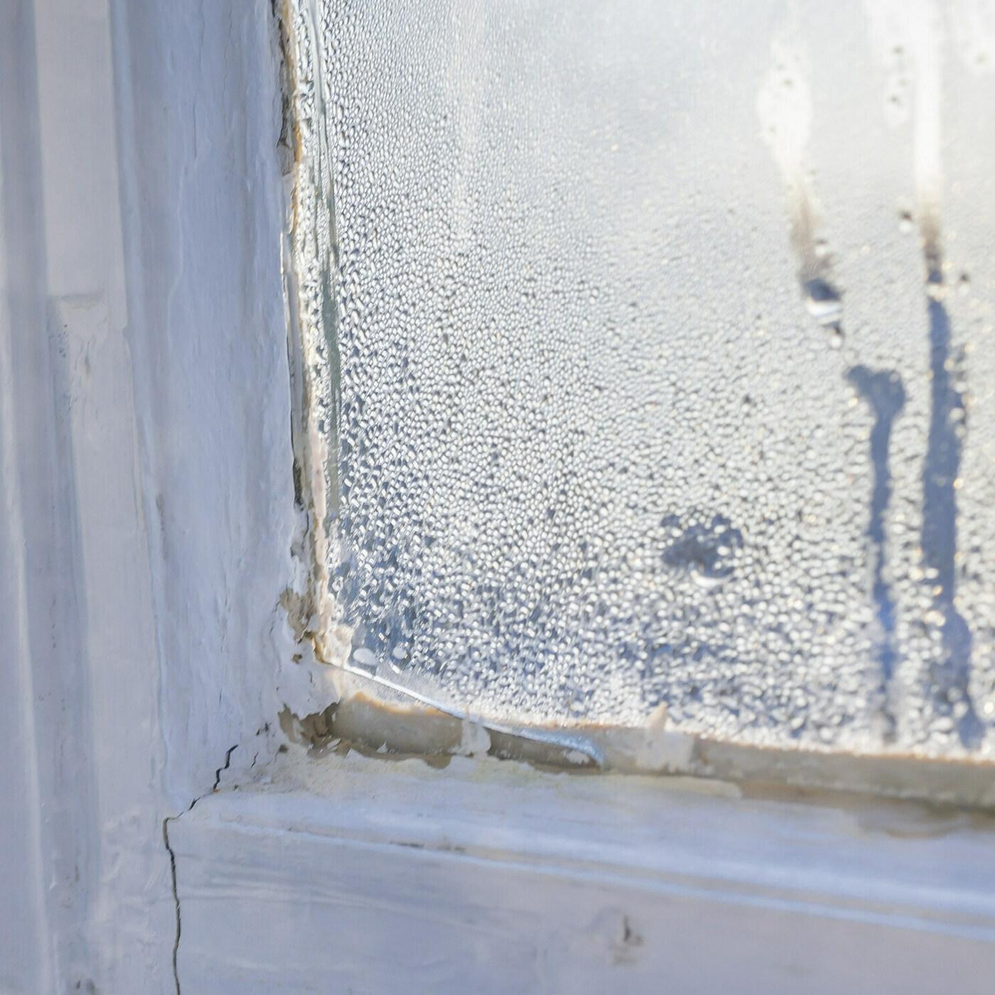 Das Klima-Labor von ntv