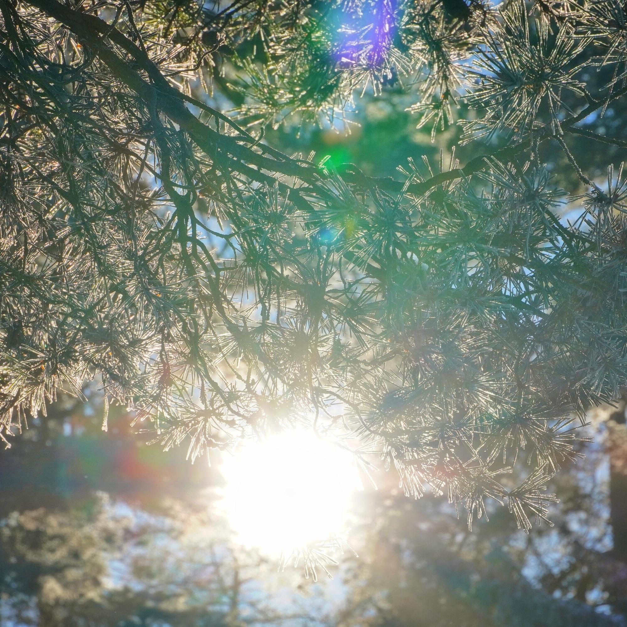 "Der Strompreis entkoppelt sich vom Gaspreis - das ist eine grundlegende Veränderung" - Leonard Gandhi (Energy-Charts)