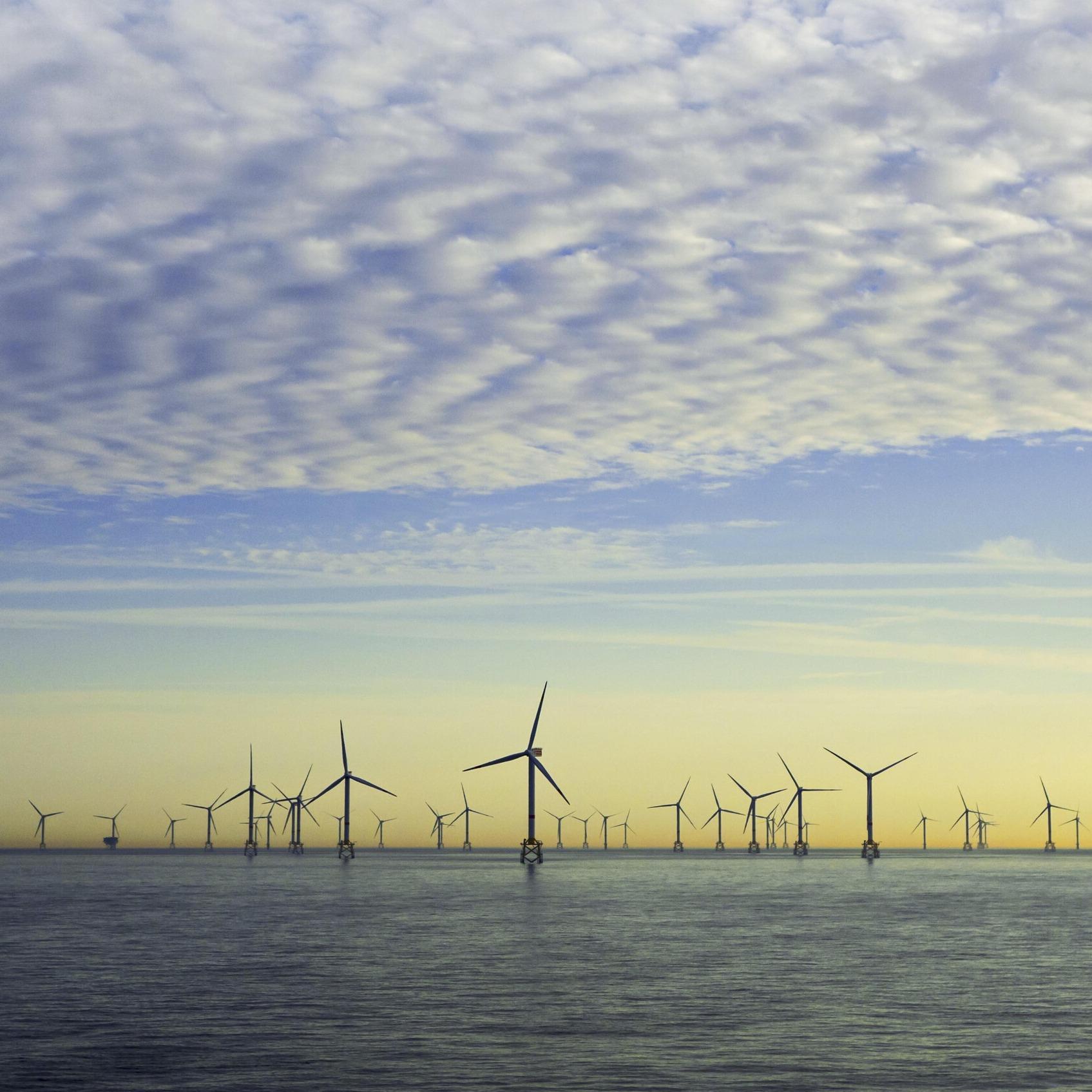 "Deutlich weniger Windräder in der Nordsee sparen 50 Milliarden Euro - und erzeugen nicht weniger Strom" | Tim Meyerjürgens (Tennet Germany) "Deutlich weniger Windräder in der Nordsee sparen 50 Milliarden Euro - und erzeugen nicht weniger Strom" | Tim Meyerjürgens (Tennet Germany)