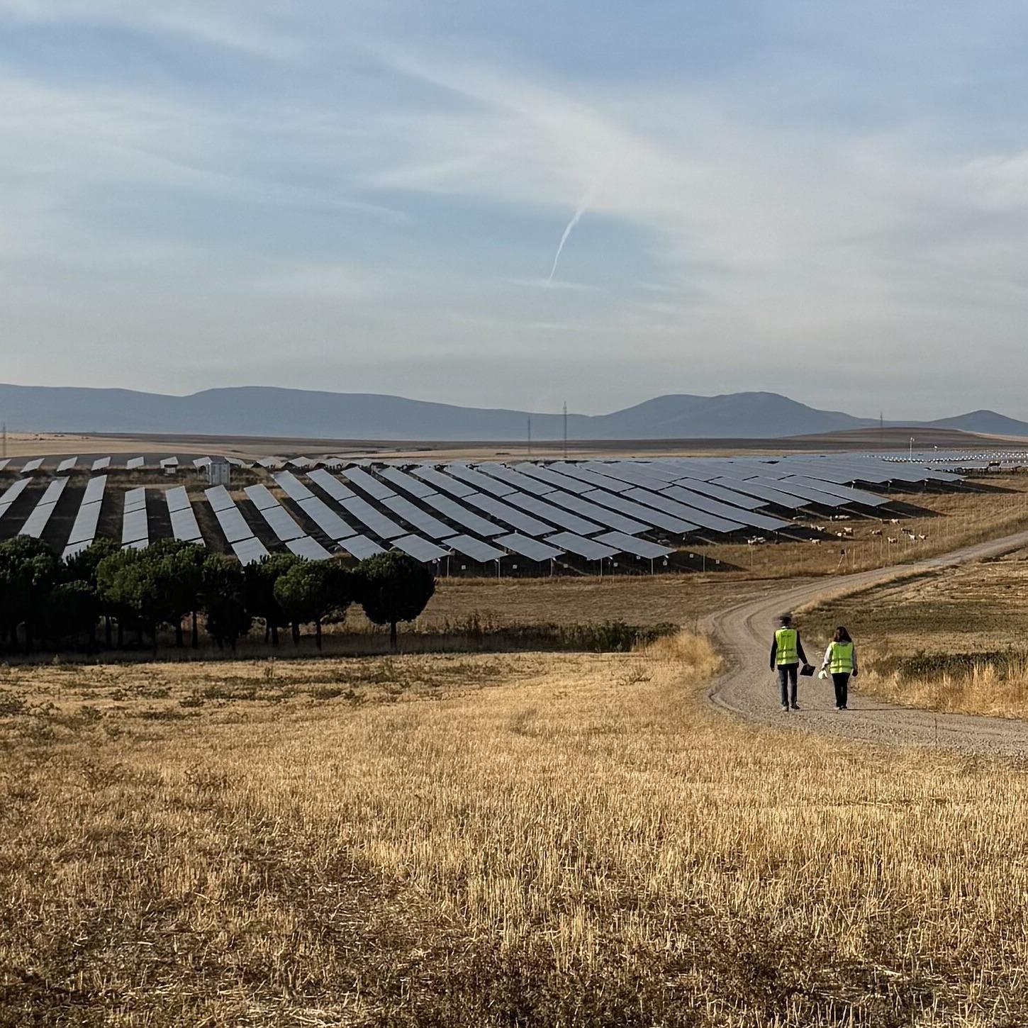 Solarkraftwerke und die unaufrichtige Atomdebatte: "Ich möchte den Politiker sehen, der ..." | Andreas Schell (ib vogt)