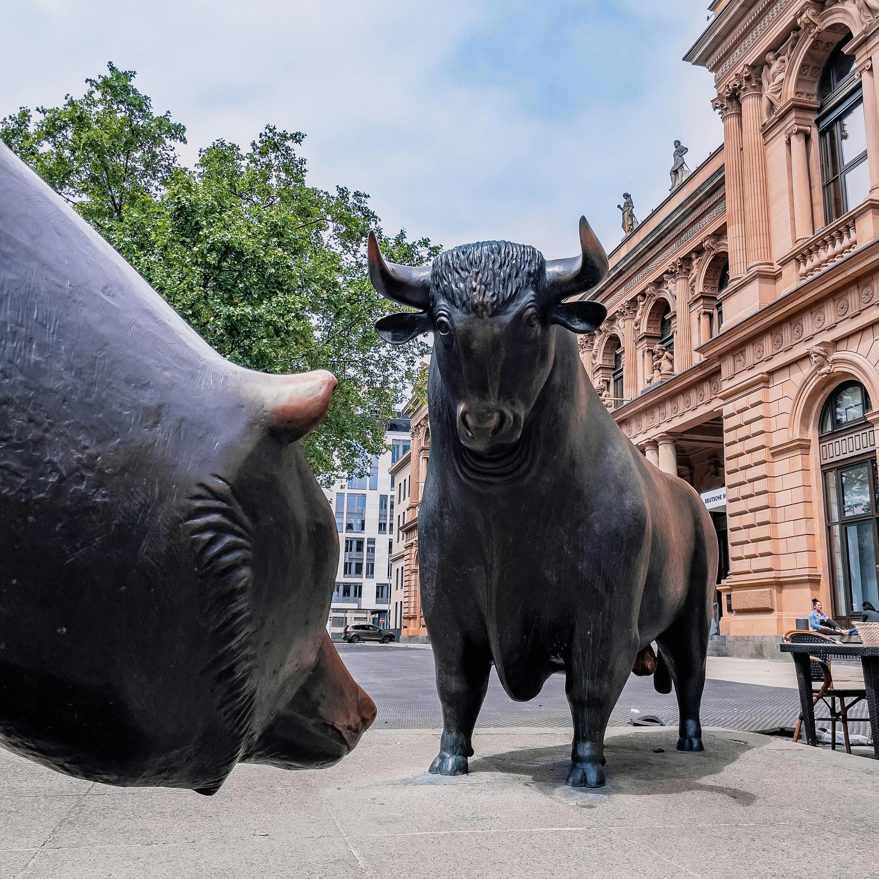 „Wir befinden uns in einer Katastrophen-Hausse“