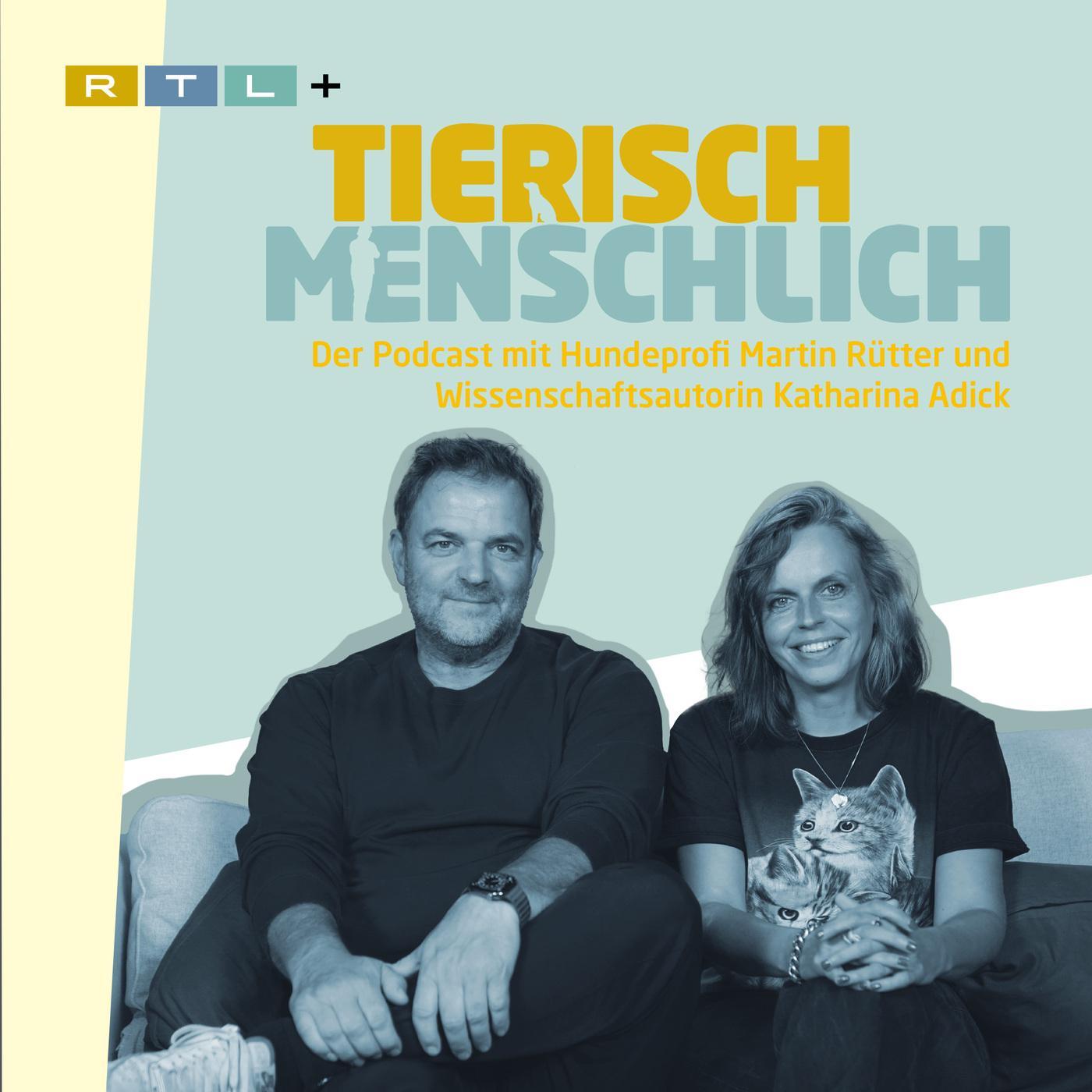 232 - Willkommen, Trudi! episode artwork