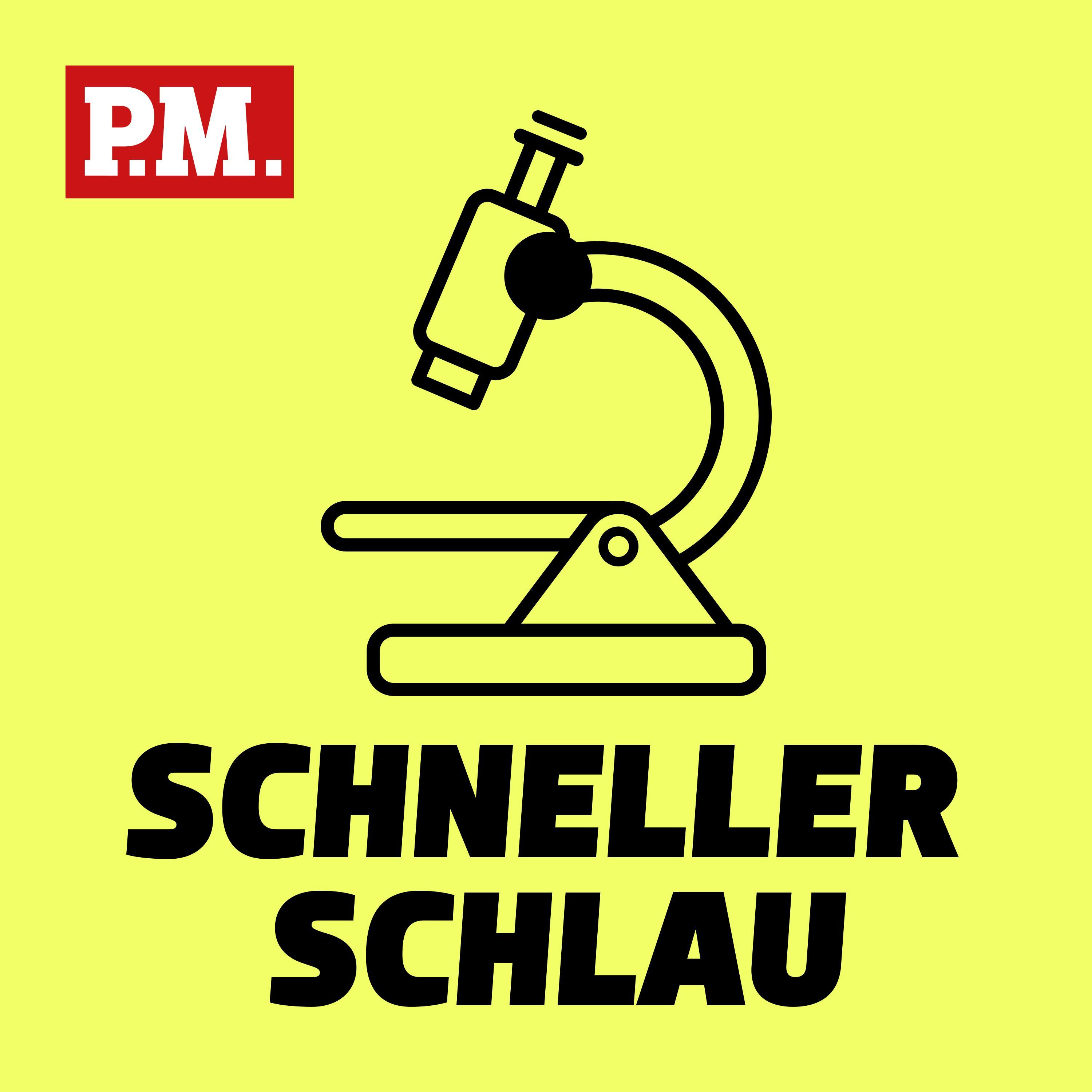 Lügen wir 200 Mal am Tag?