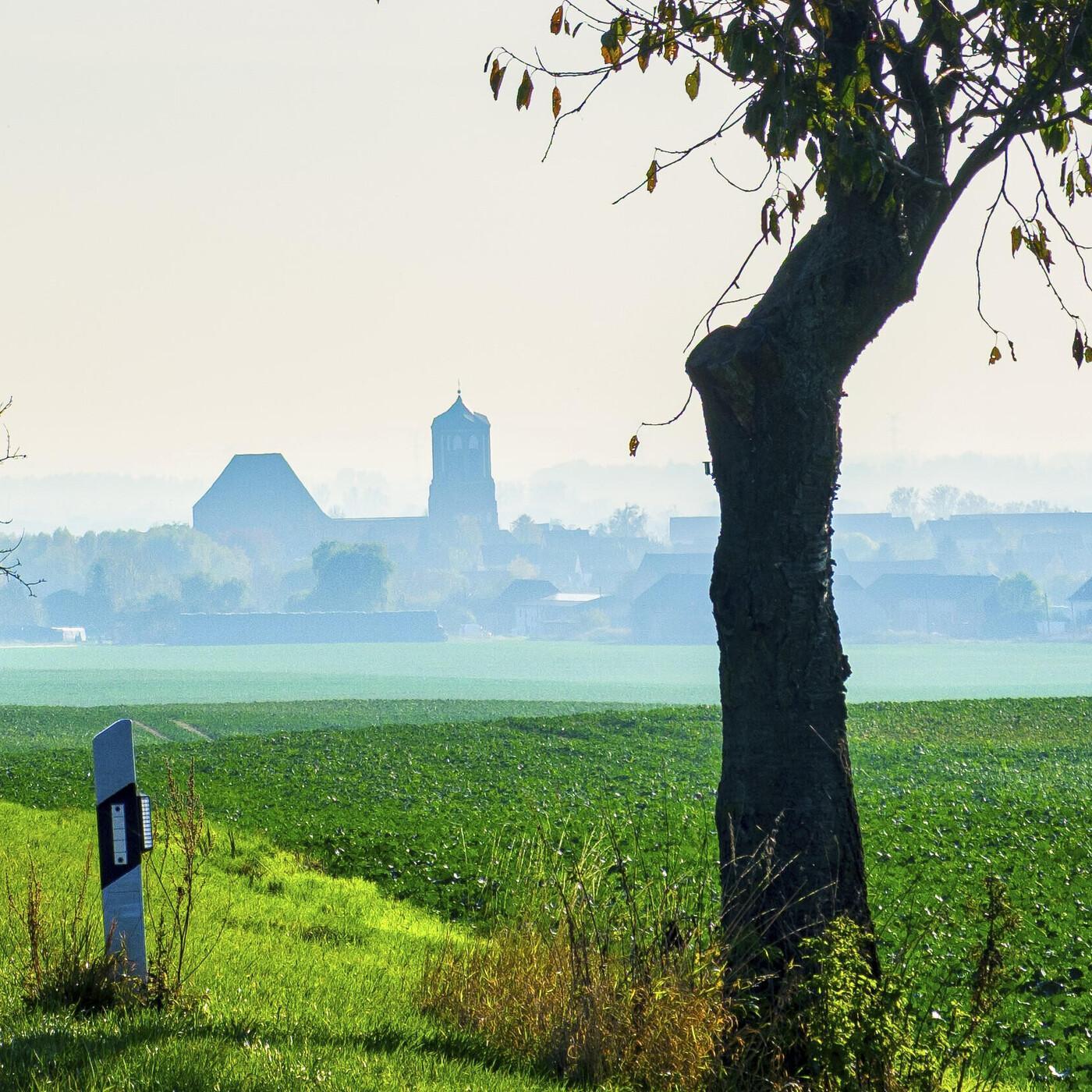Wieder was gelernt - der ntv-Podcast