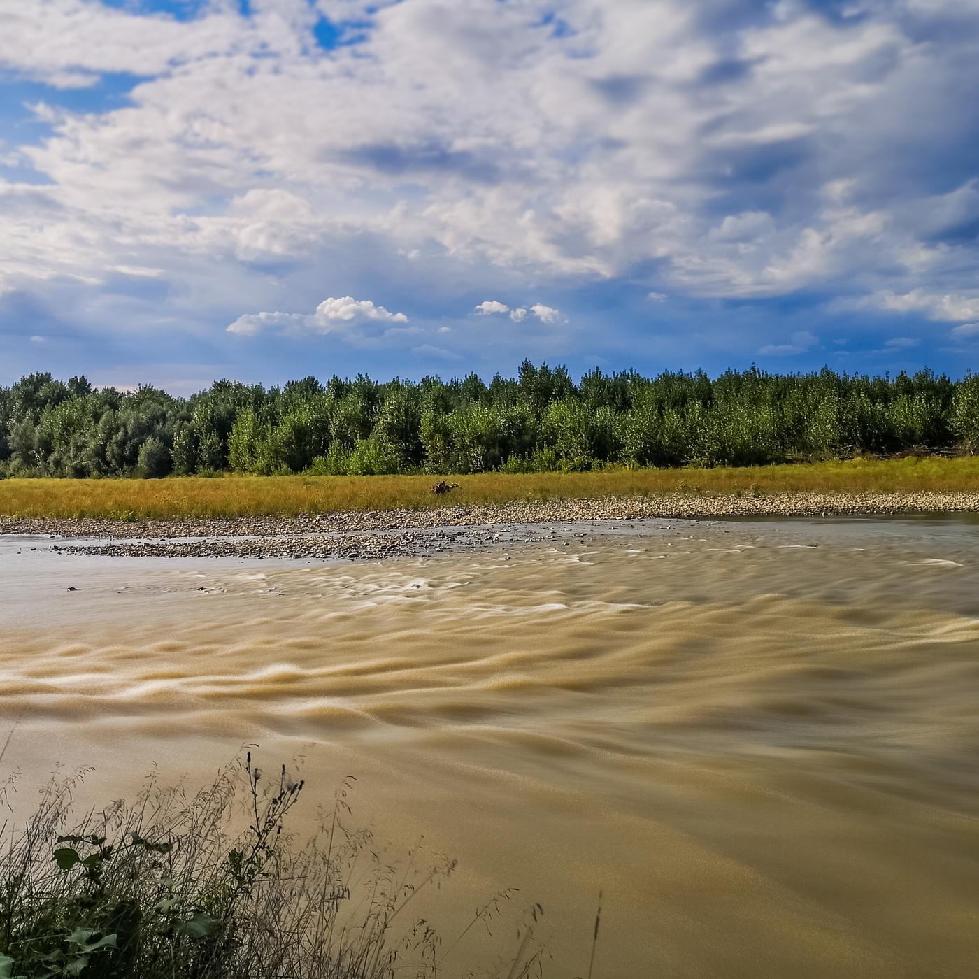 Wieder was gelernt - der ntv-Podcast