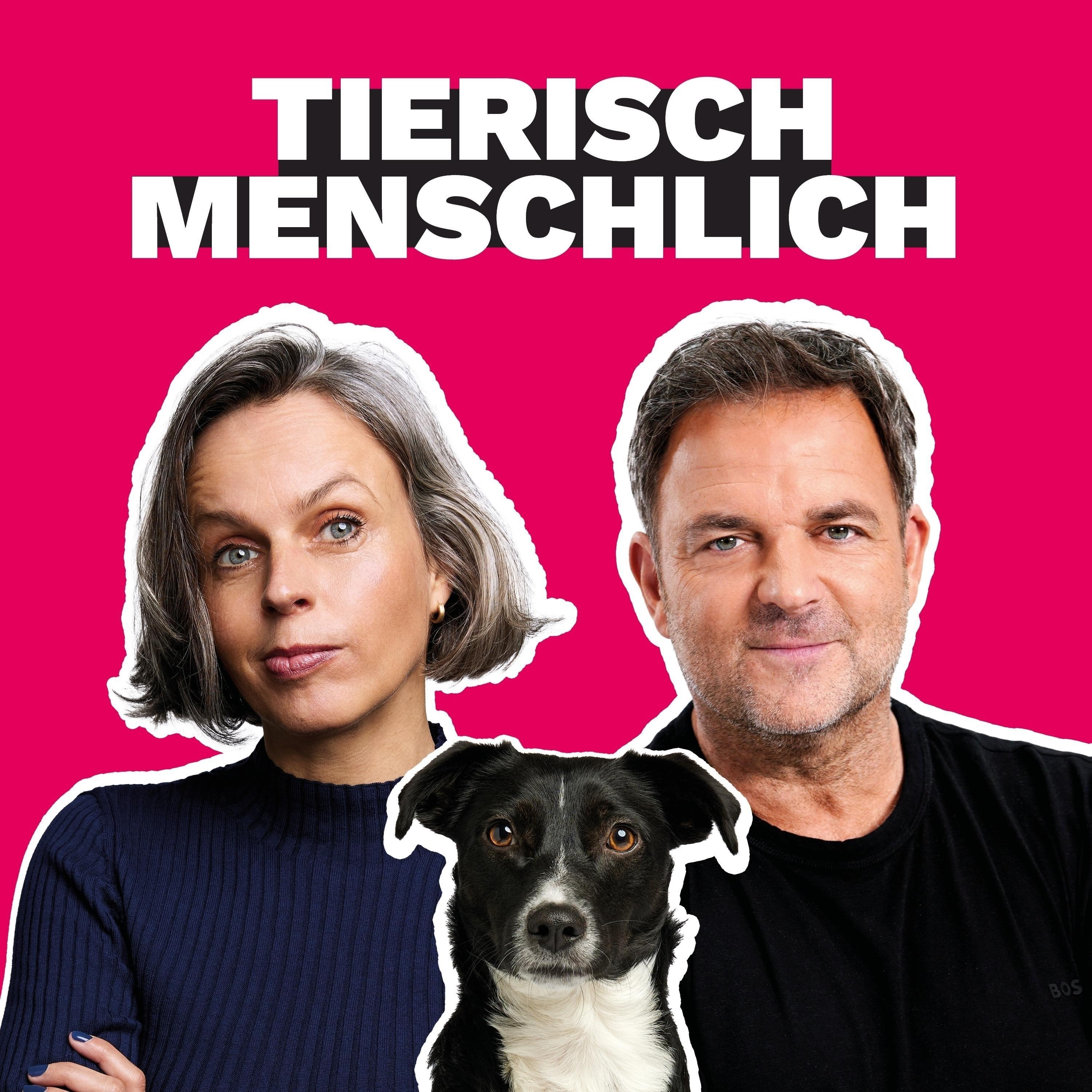 Tierisch Menschlich