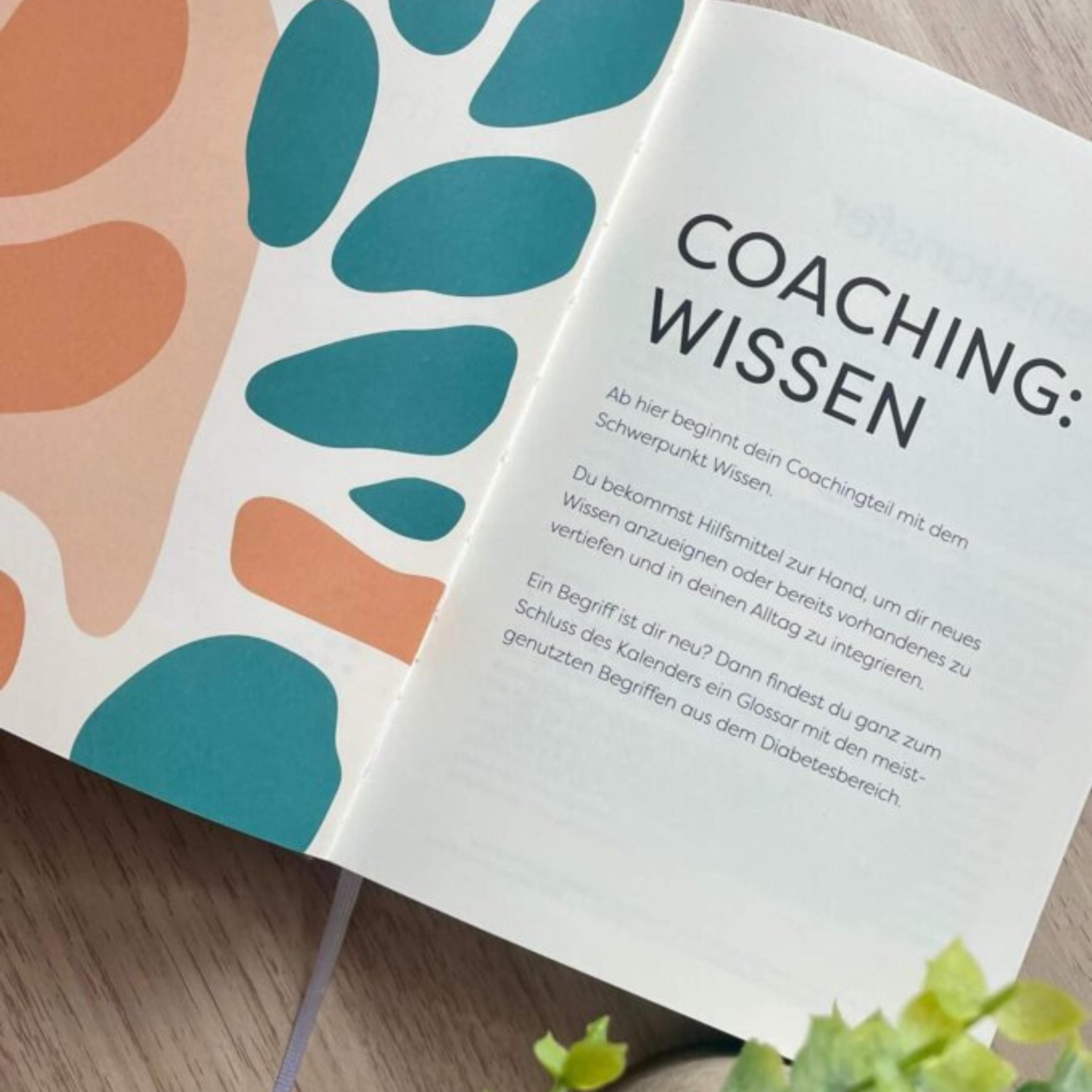 453 - Diary von Diability - Dein Diabetestagebuch