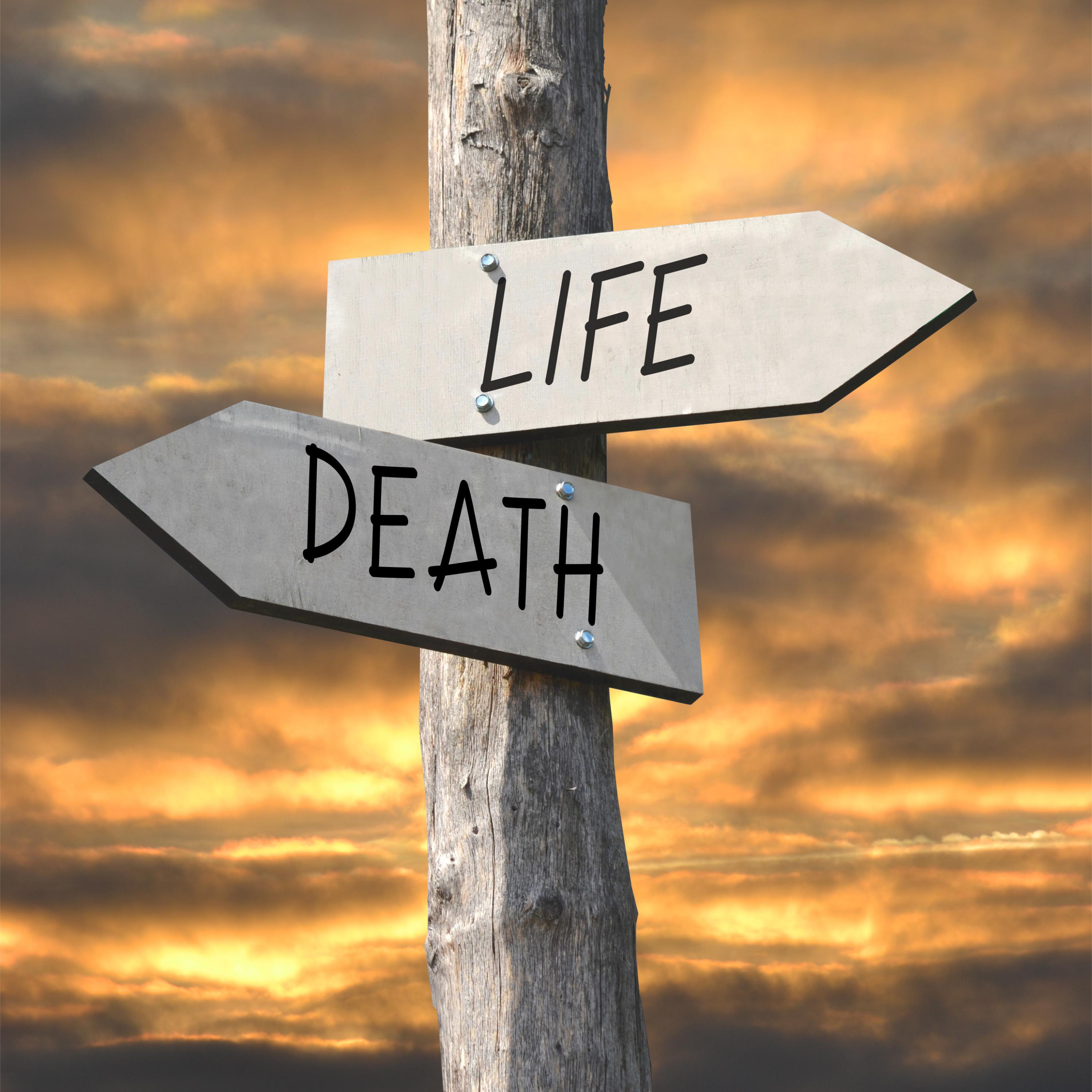 336 - Wie mich die Begegnung mit dem Tod veränderte episode artwork