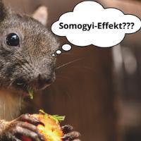 159 - Somogyi-Effekt die Rebound-Hypoglykämie episode artwork