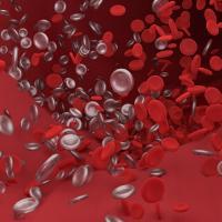 148 - Gewebezucker Blutzucker ist wie Kotzen in der Achterbahn_FOCUS-Diabetes episode artwork