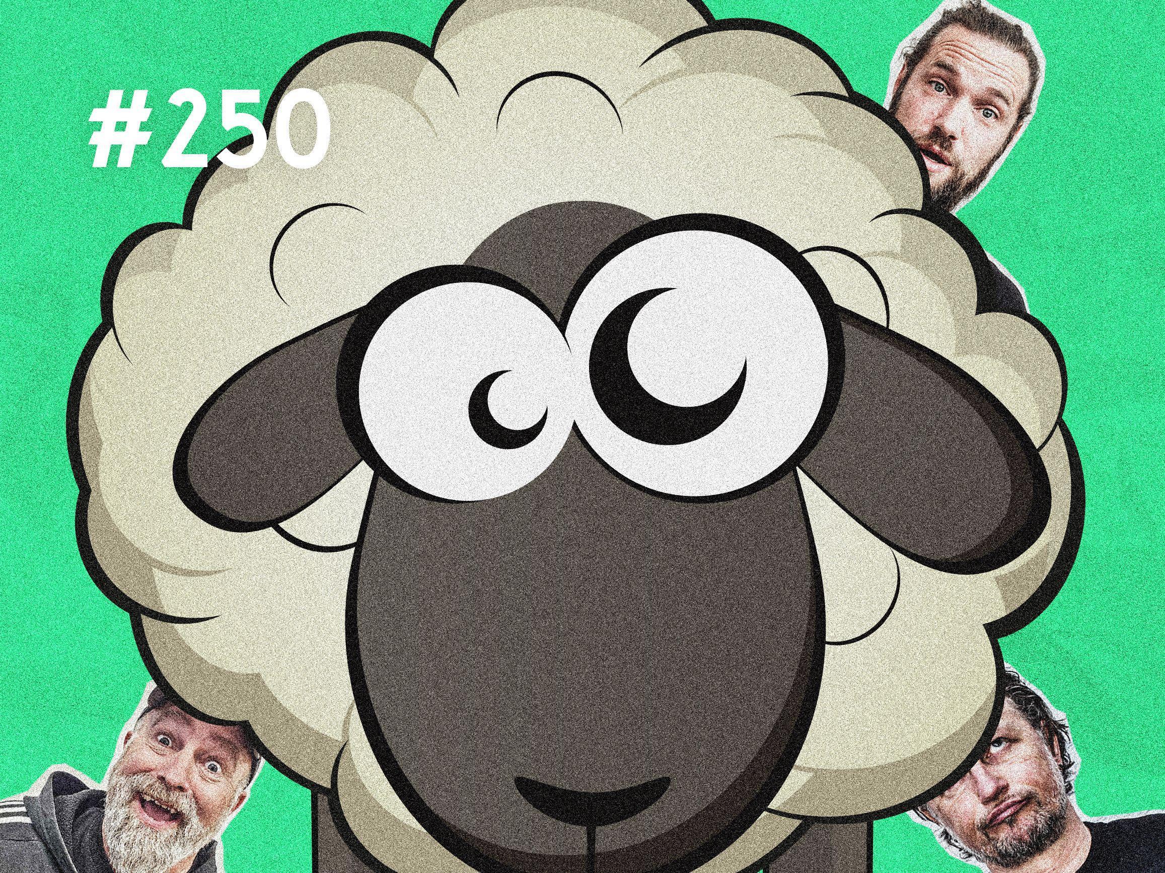 #250 Der Herr ist kein Hirte?!