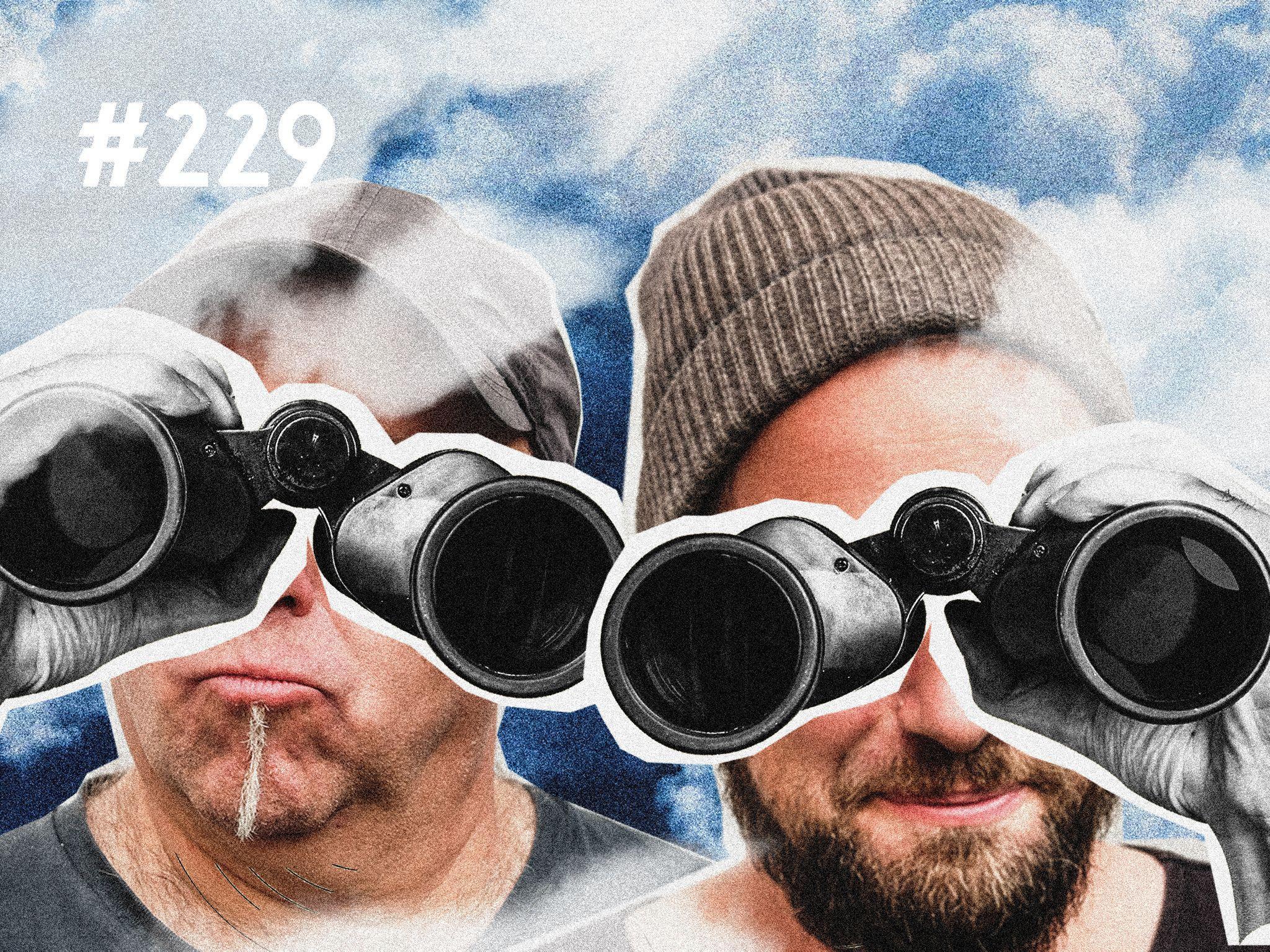 #229 Was wollen wir hoffen?