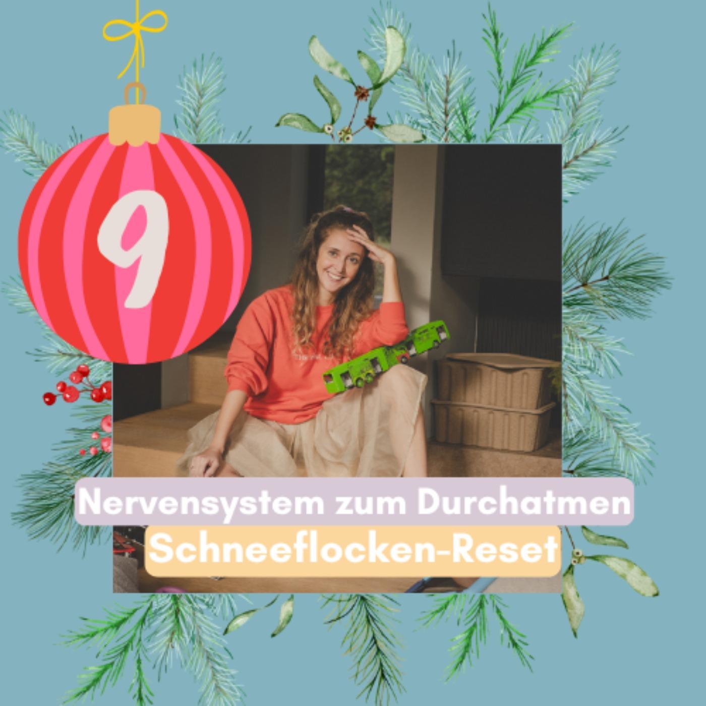 9. Türchen: Das Schneeflocken-Reset episode artwork